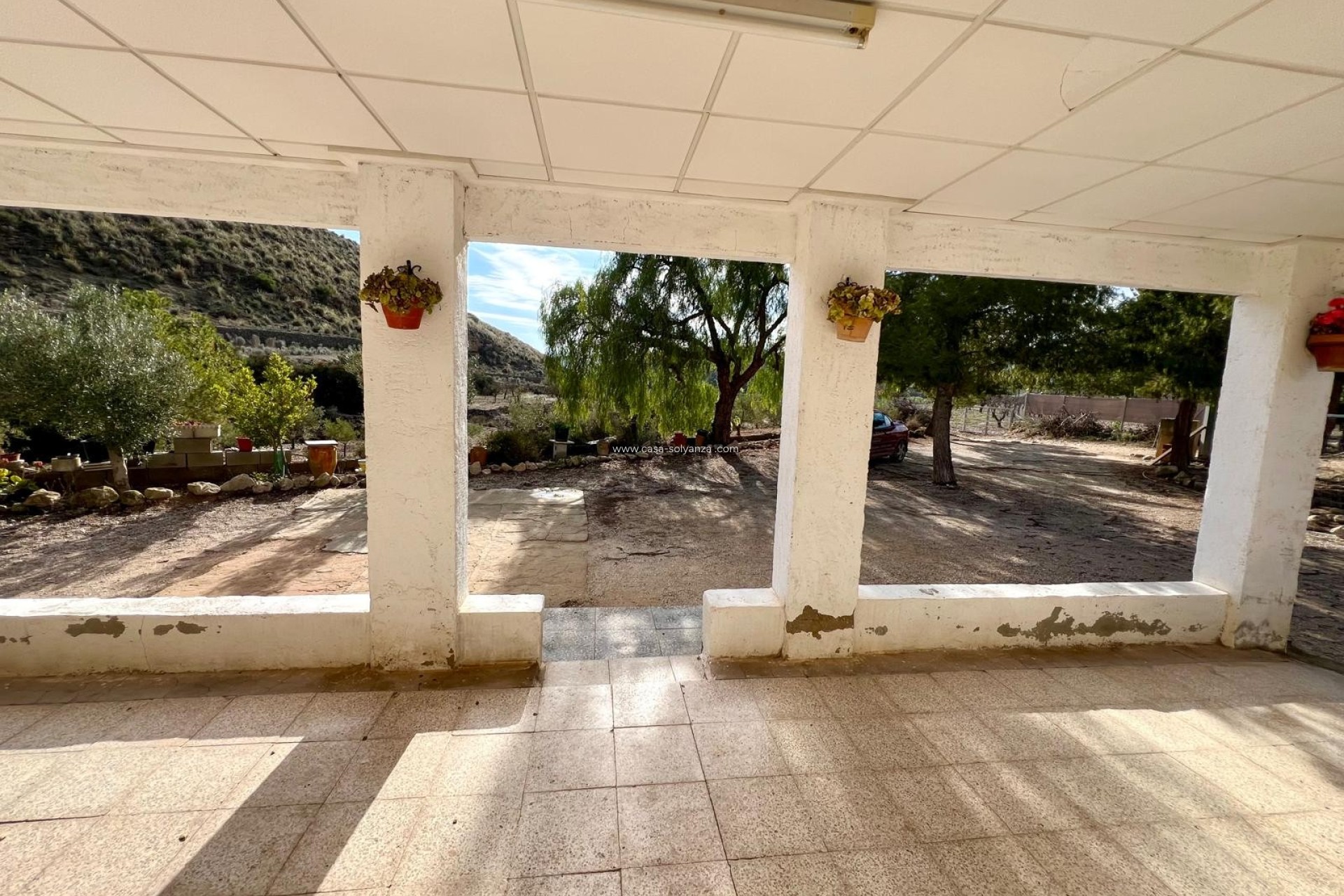 Reventa - Country Property/Finca - Monóvar - Inland