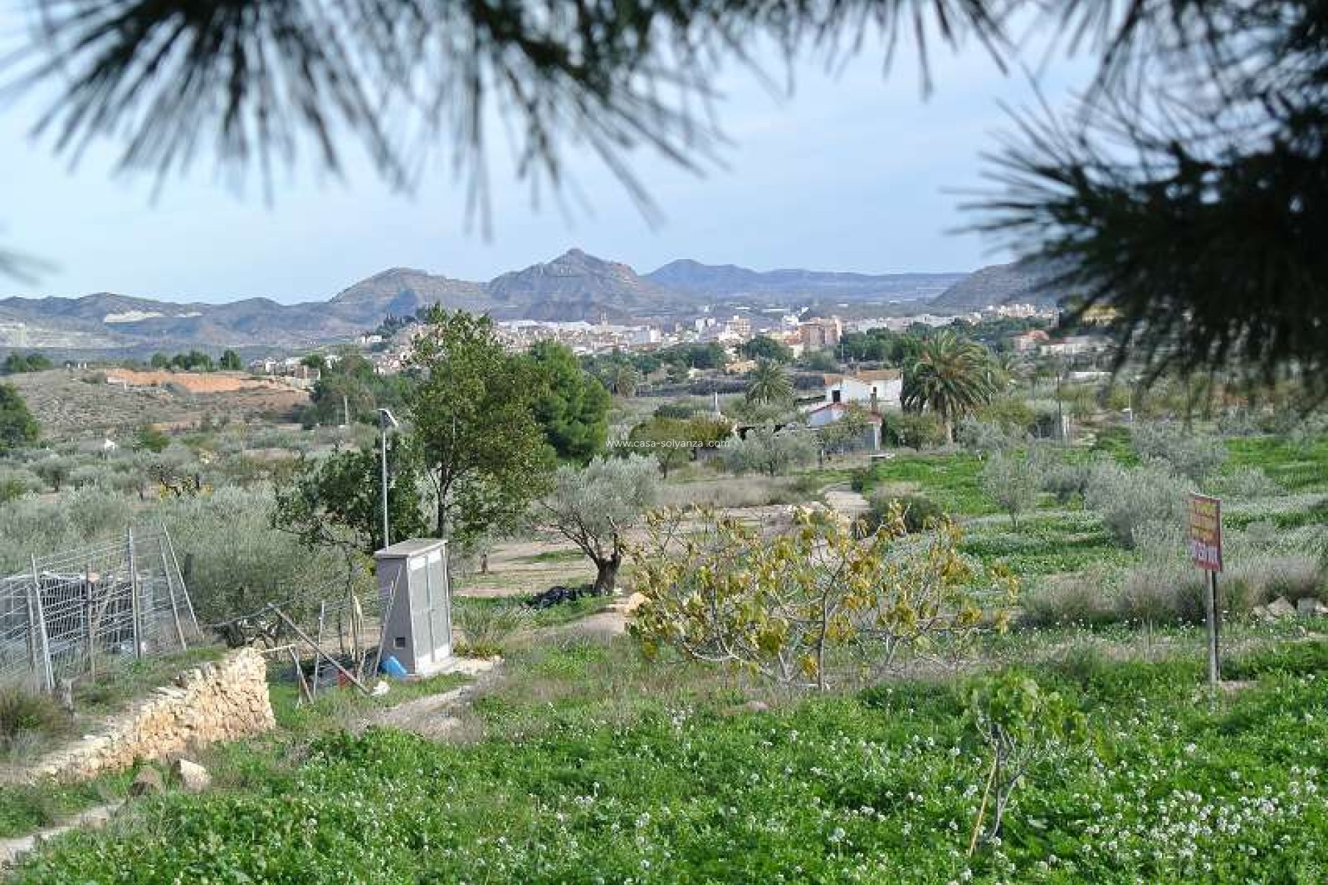 Reventa - Country Property/Finca - Monóvar - Inland
