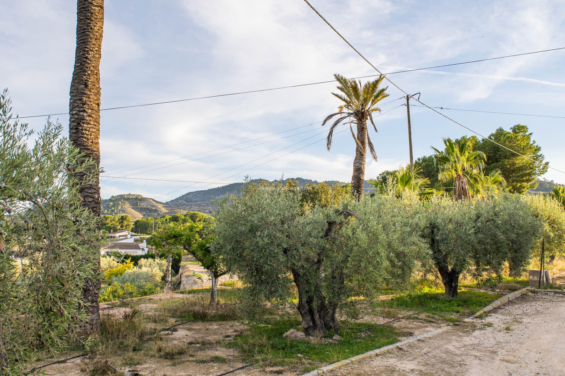 Reventa - Country Property/Finca - Monòver - Camí de Beties 5 be