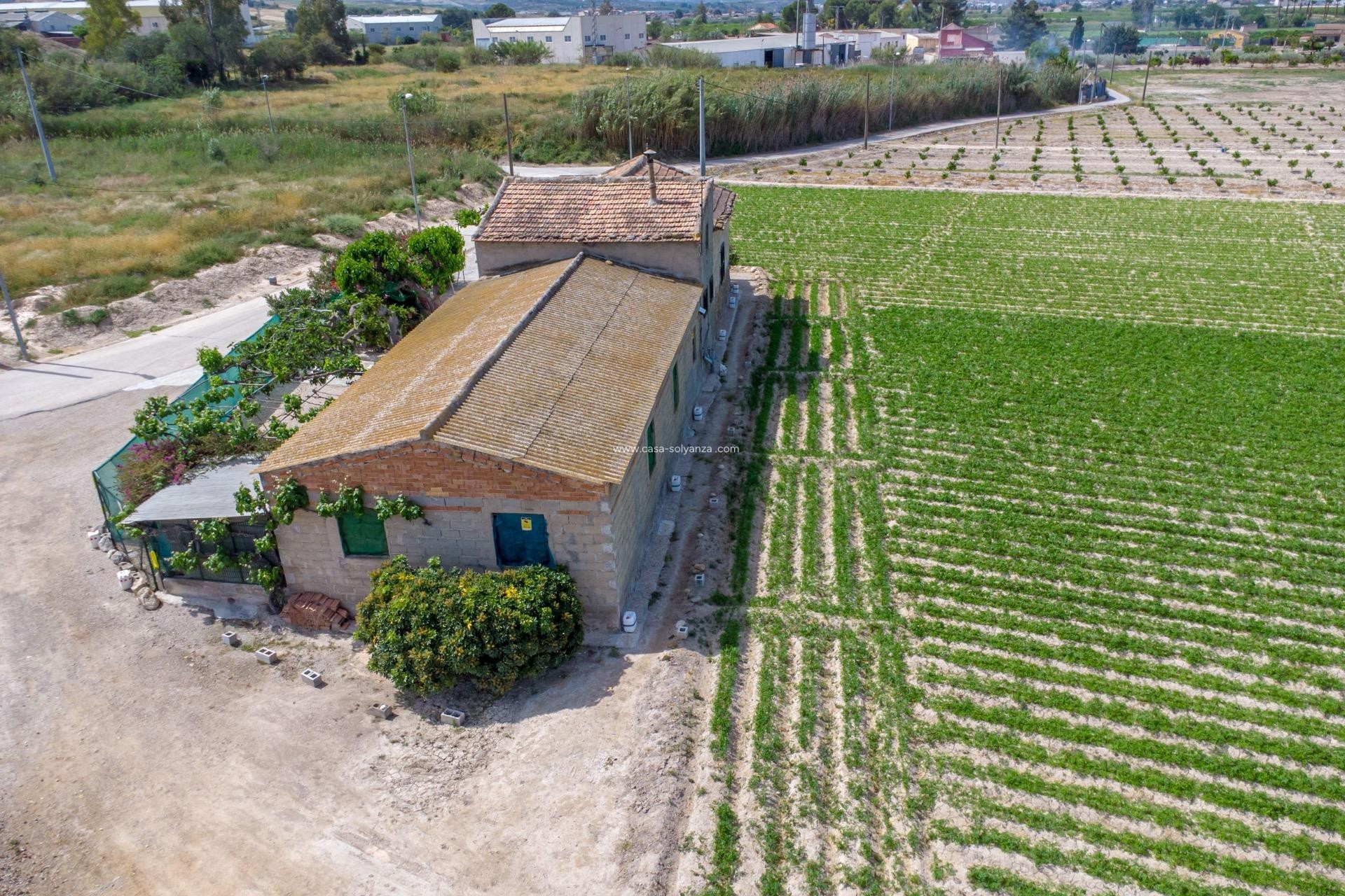 Reventa - Country Property/Finca - Orihuela - Desamparados-Hurchillo-Torremendo