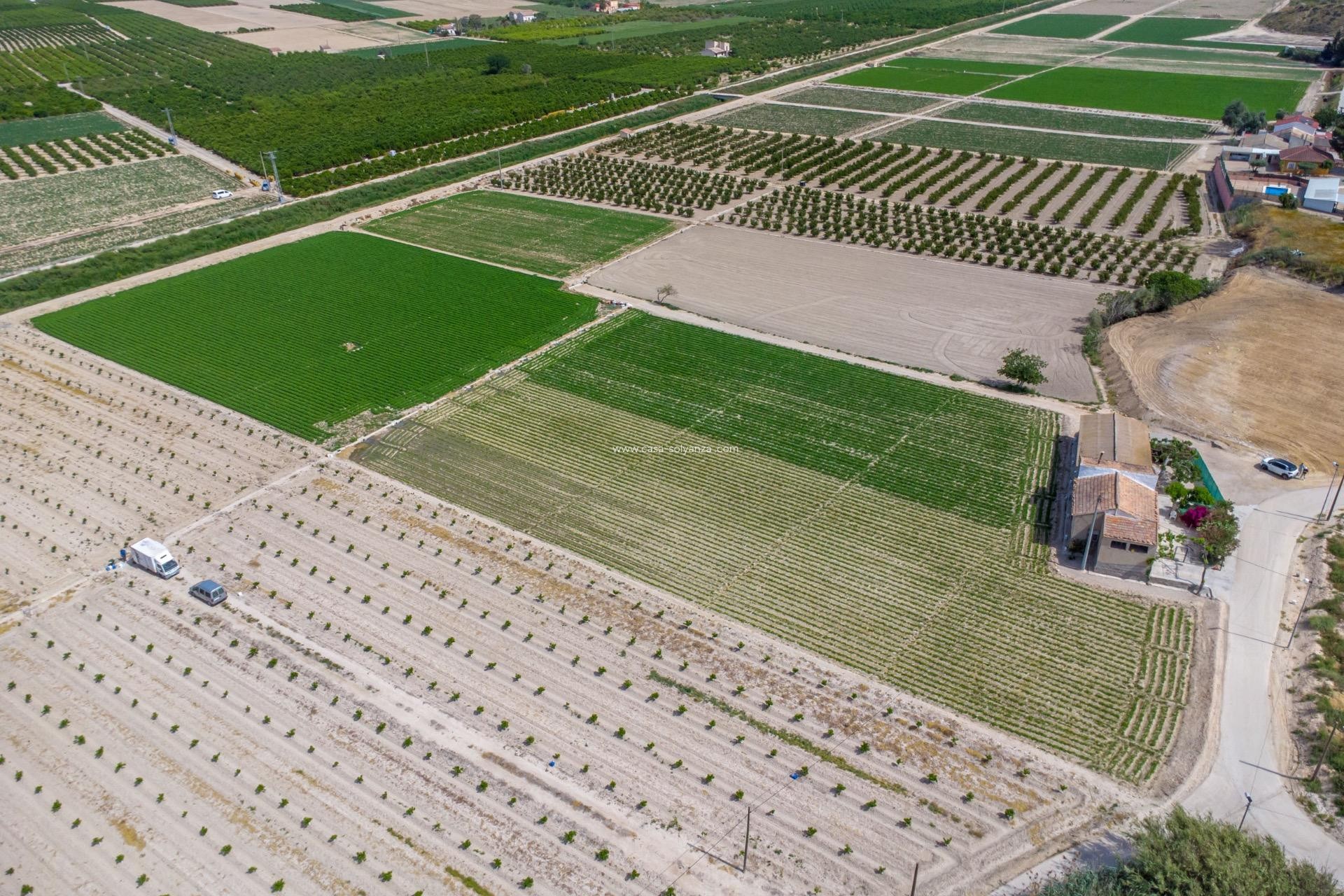 Reventa - Country Property/Finca - Orihuela - Desamparados-Hurchillo-Torremendo