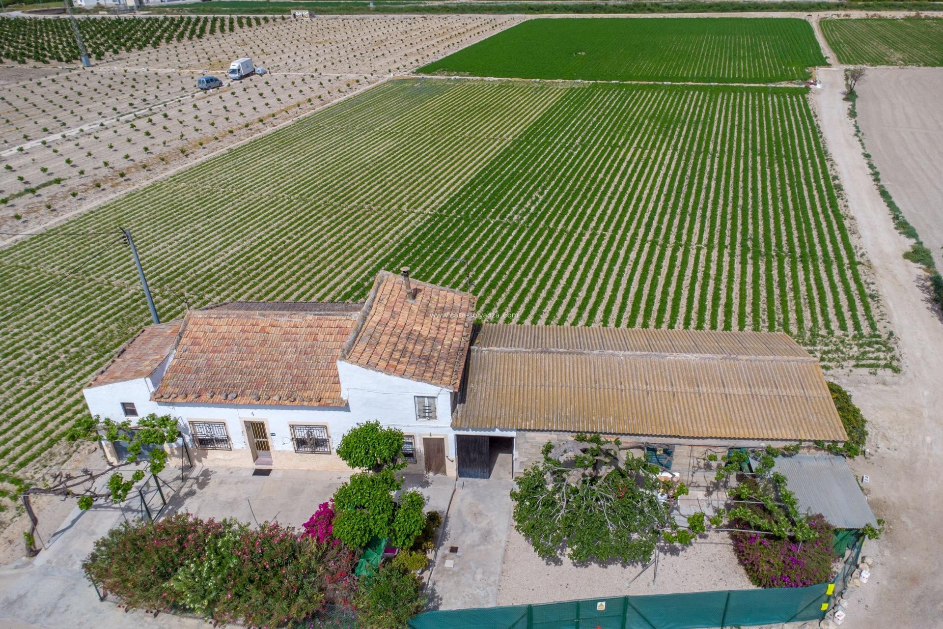 Reventa - Country Property/Finca - Orihuela - Desamparados