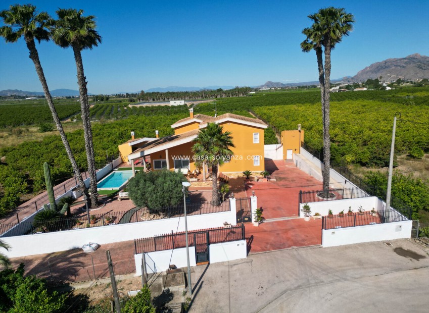 Reventa - Country Property/Finca - Orihuela - Inland
