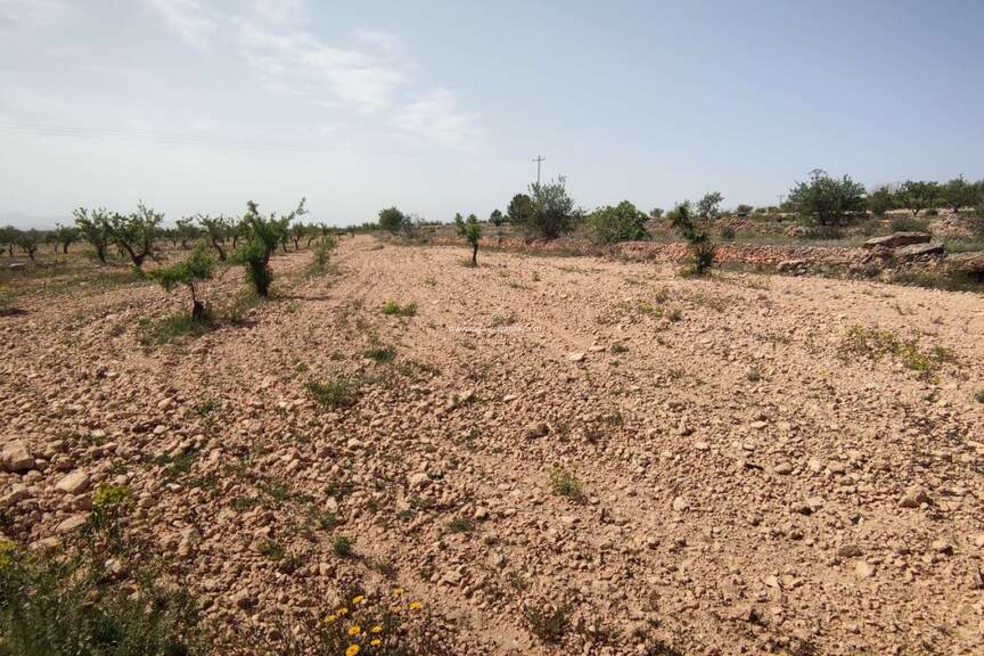 Reventa - Country Property/Finca - Pinoso - Inland