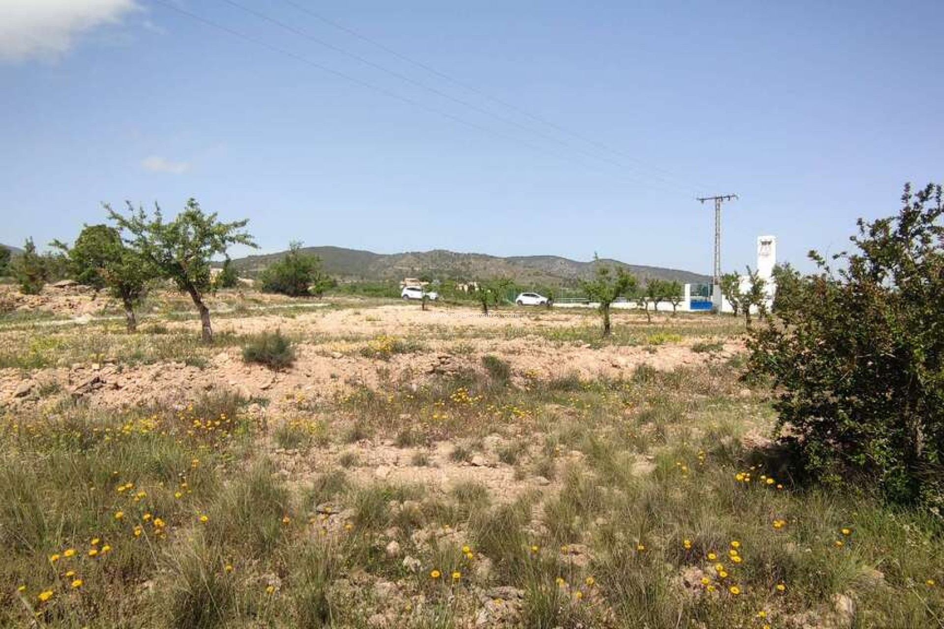 Reventa - Country Property/Finca - Pinoso - Inland