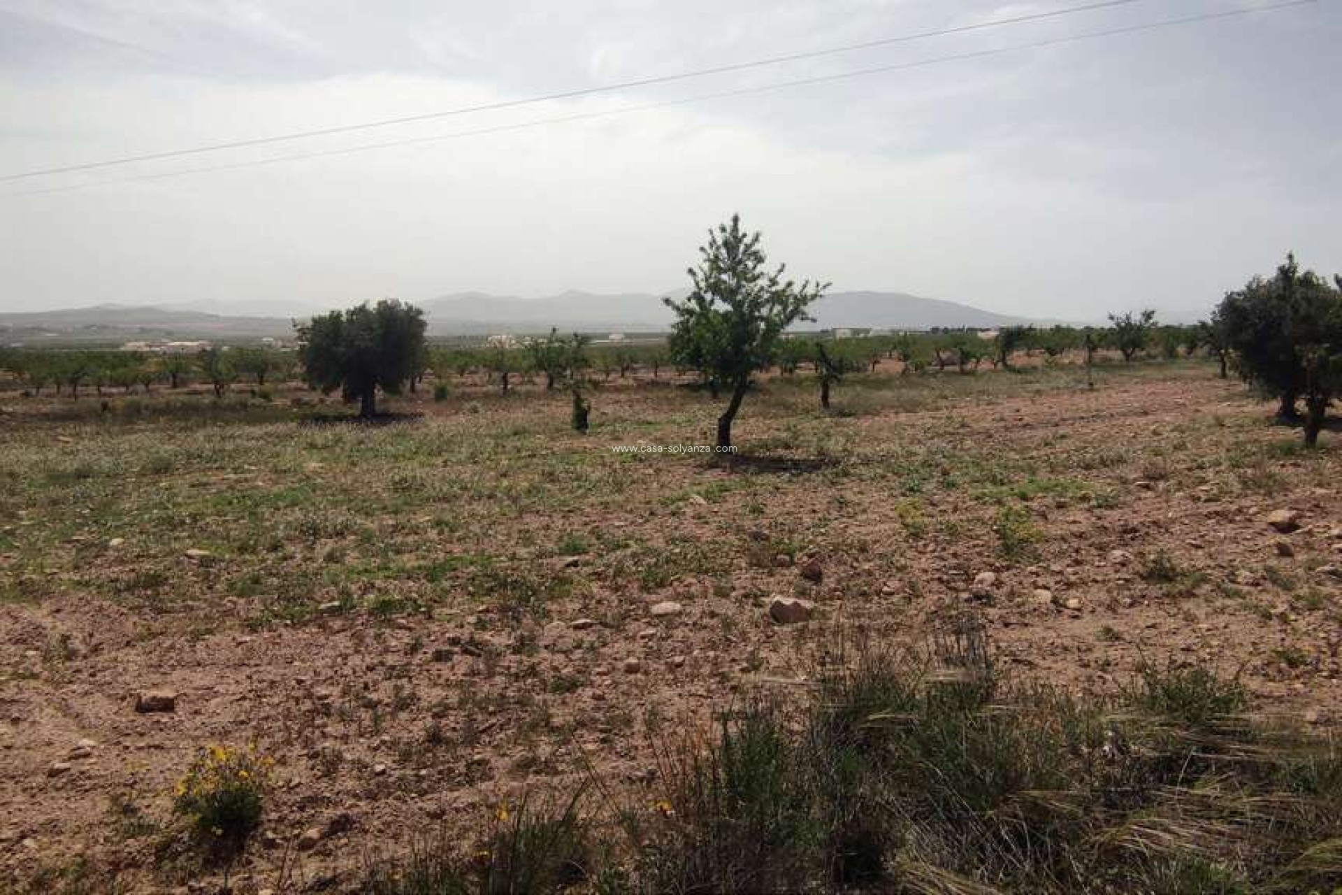 Reventa - Country Property/Finca - Pinoso - Inland