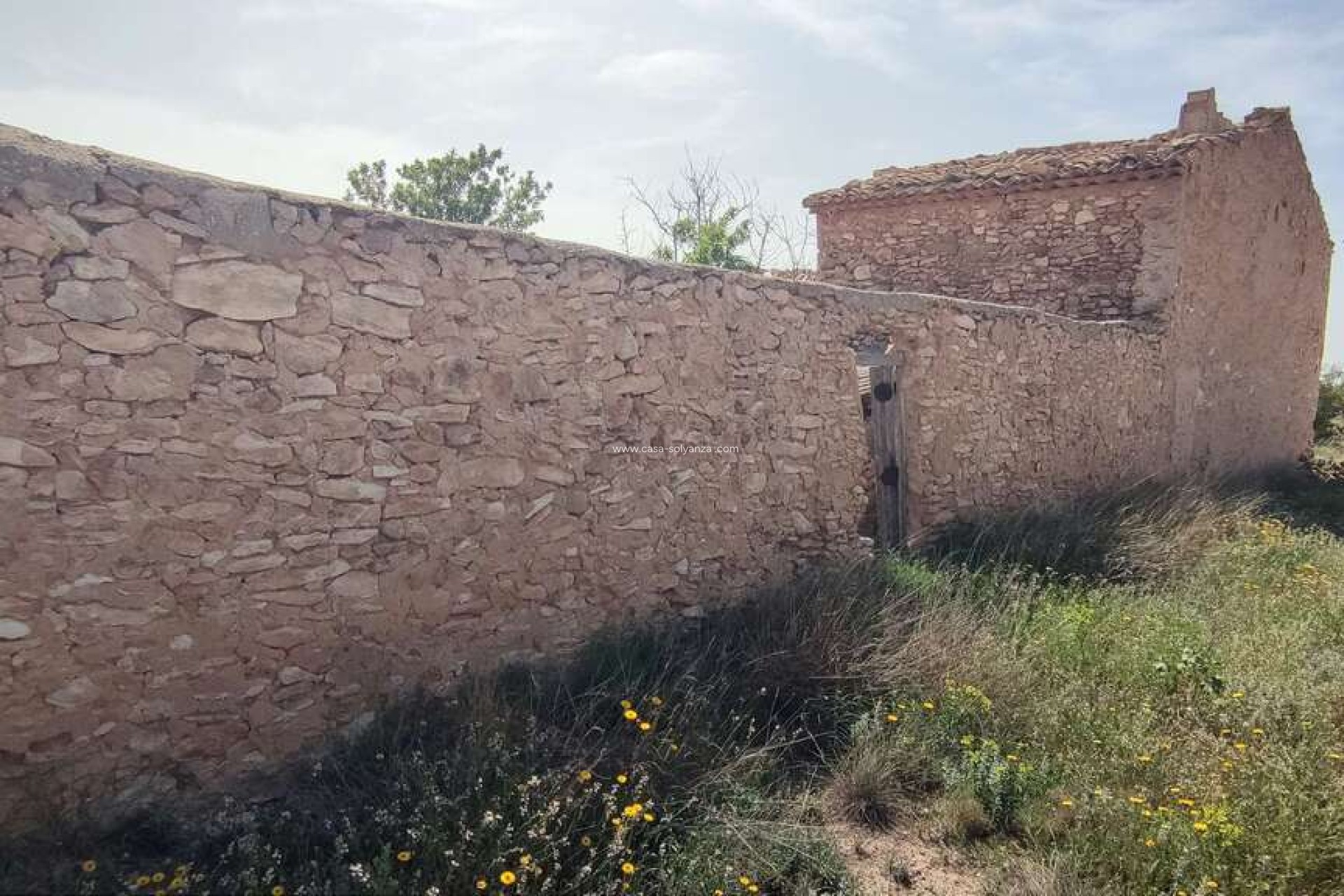 Reventa - Country Property/Finca - Pinoso - Inland