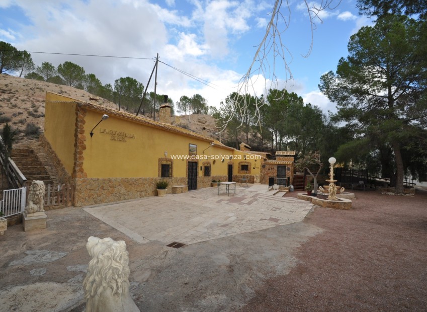 Reventa - Country Property/Finca - Pinoso - Inland