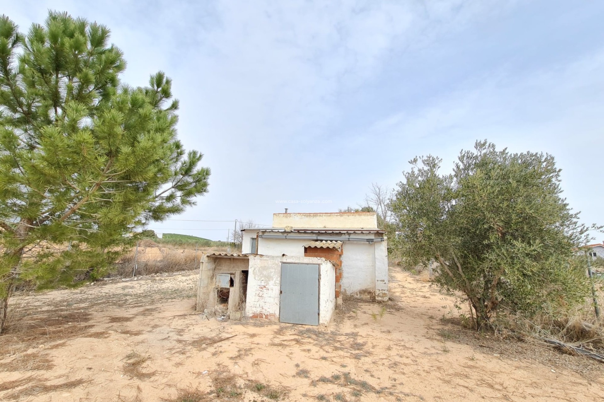 Reventa - Country Property/Finca - Pinoso - Inland