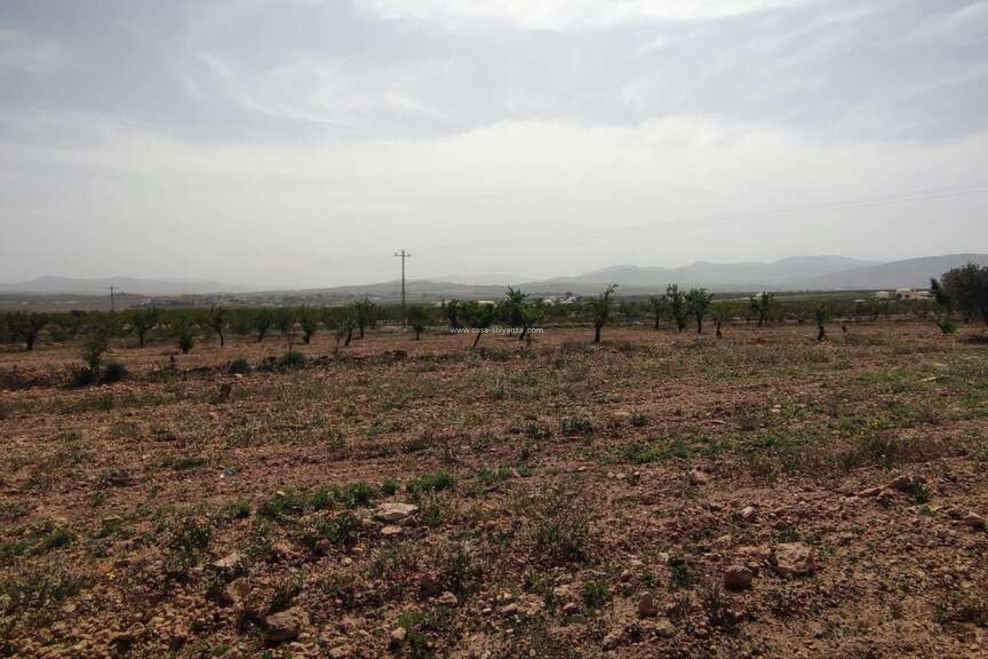 Reventa - Country Property/Finca - Pinoso