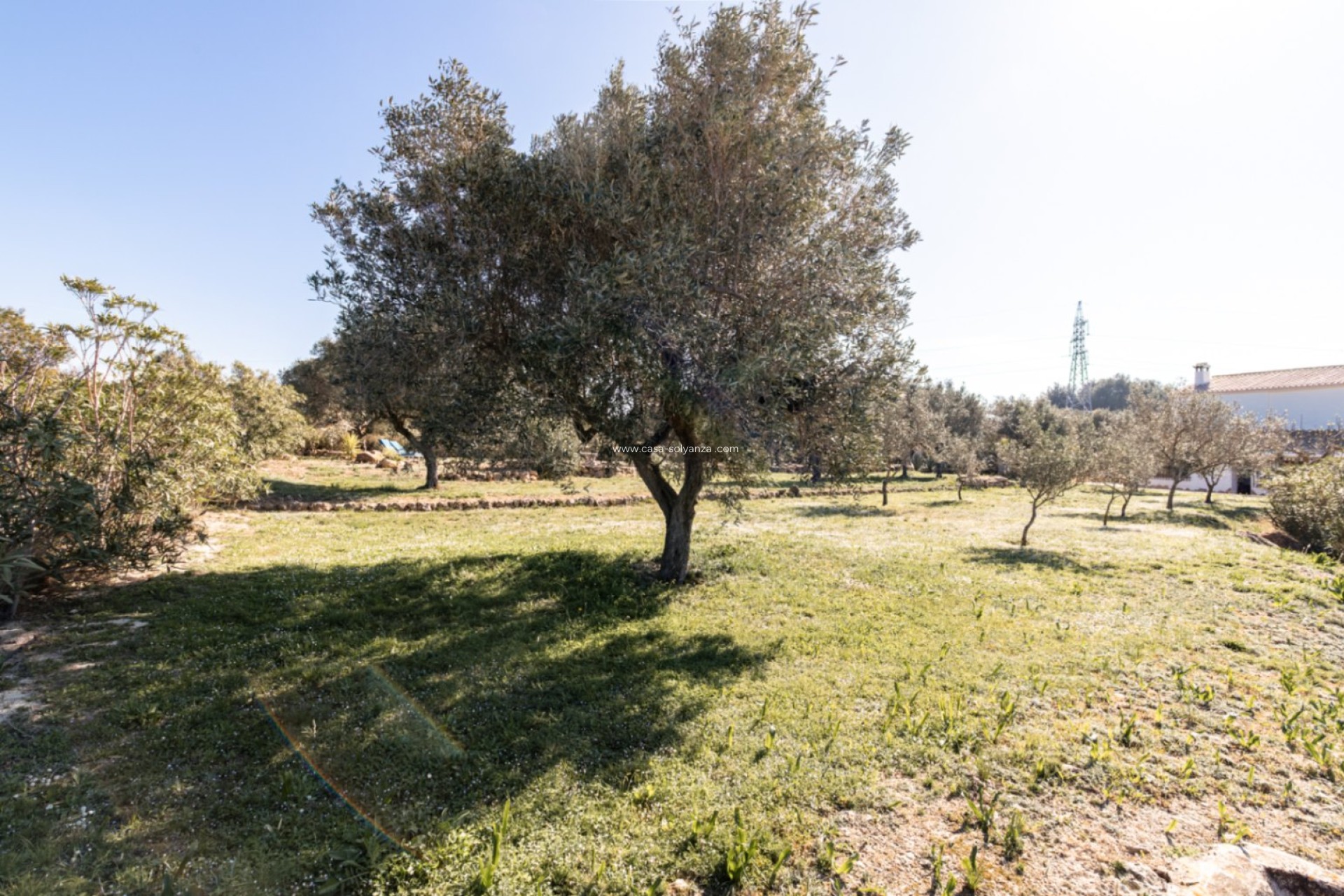 Reventa - Country Property/Finca - Teulada - Canor