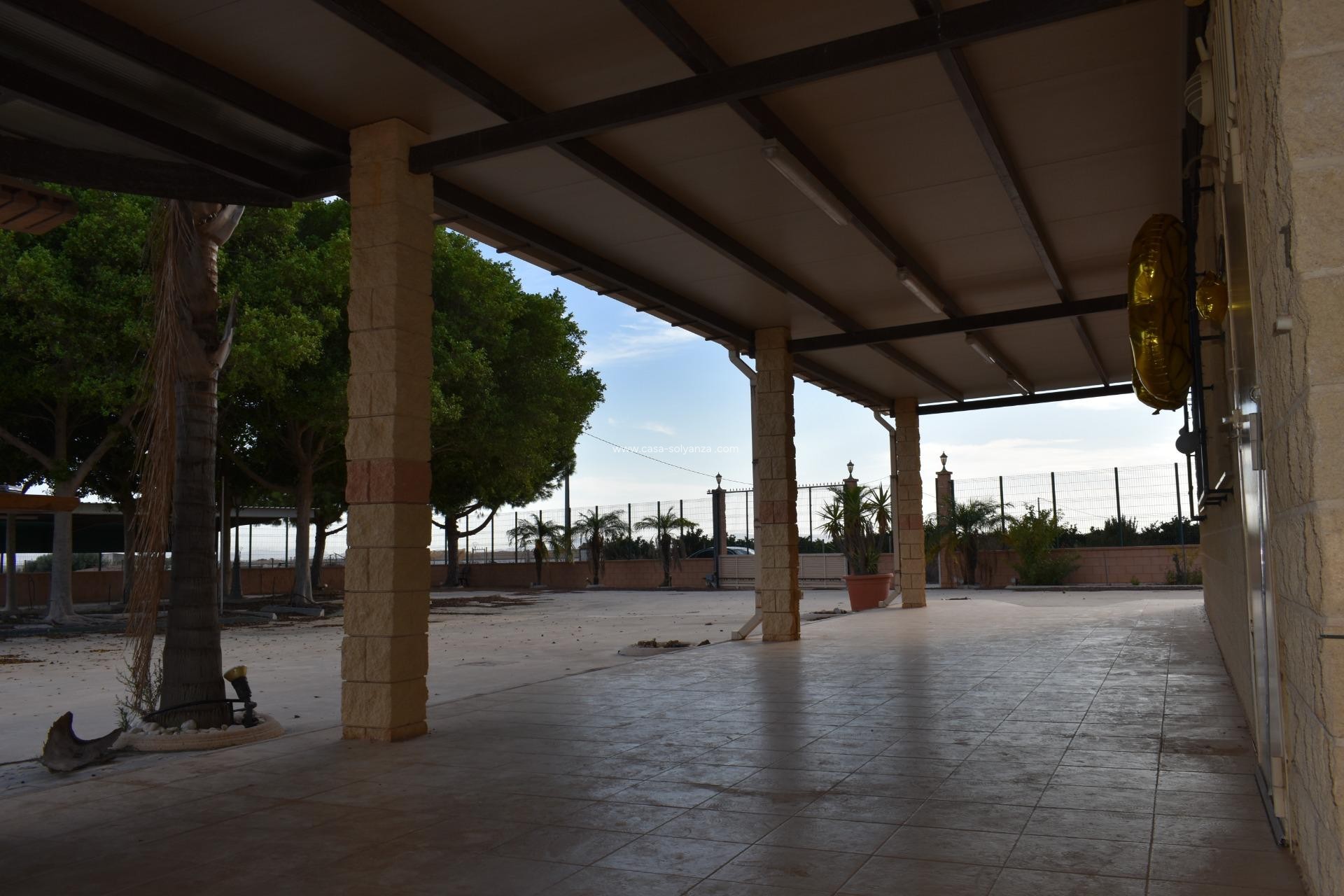 Reventa - Country Property/Finca - Torre Pacheco - Dolores De Pacheco