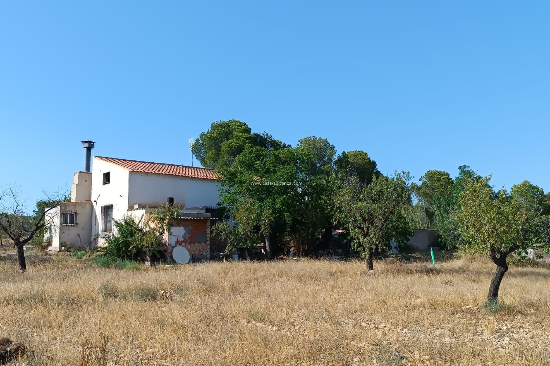 Reventa - Country Property/Finca - Yecla - Inland