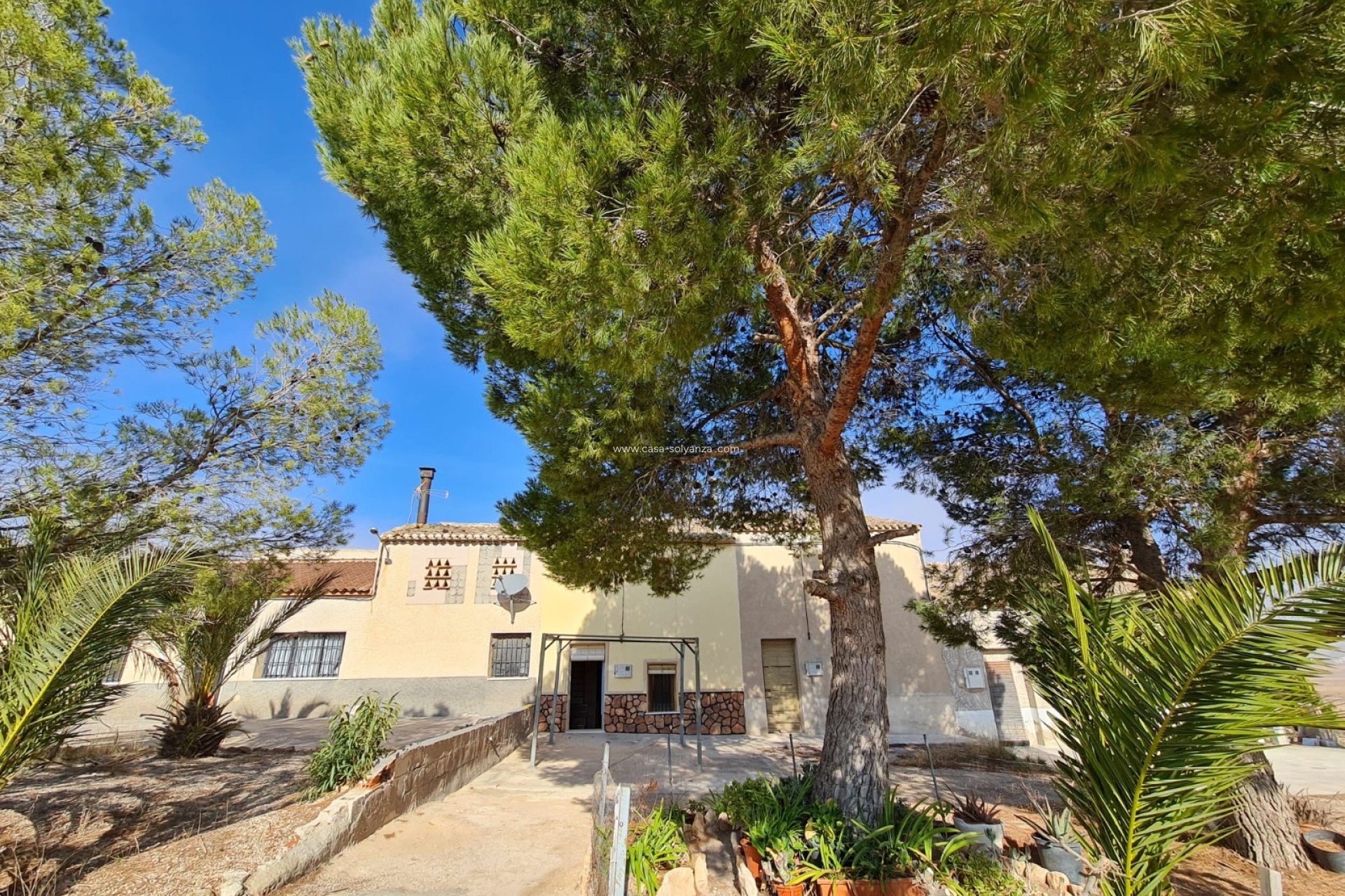 Reventa - Country Property/Finca - Yecla - Inland