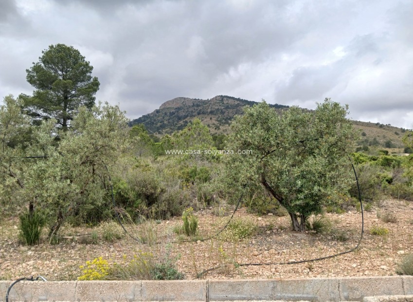 Reventa - Country Property/Finca - Yecla - Inland