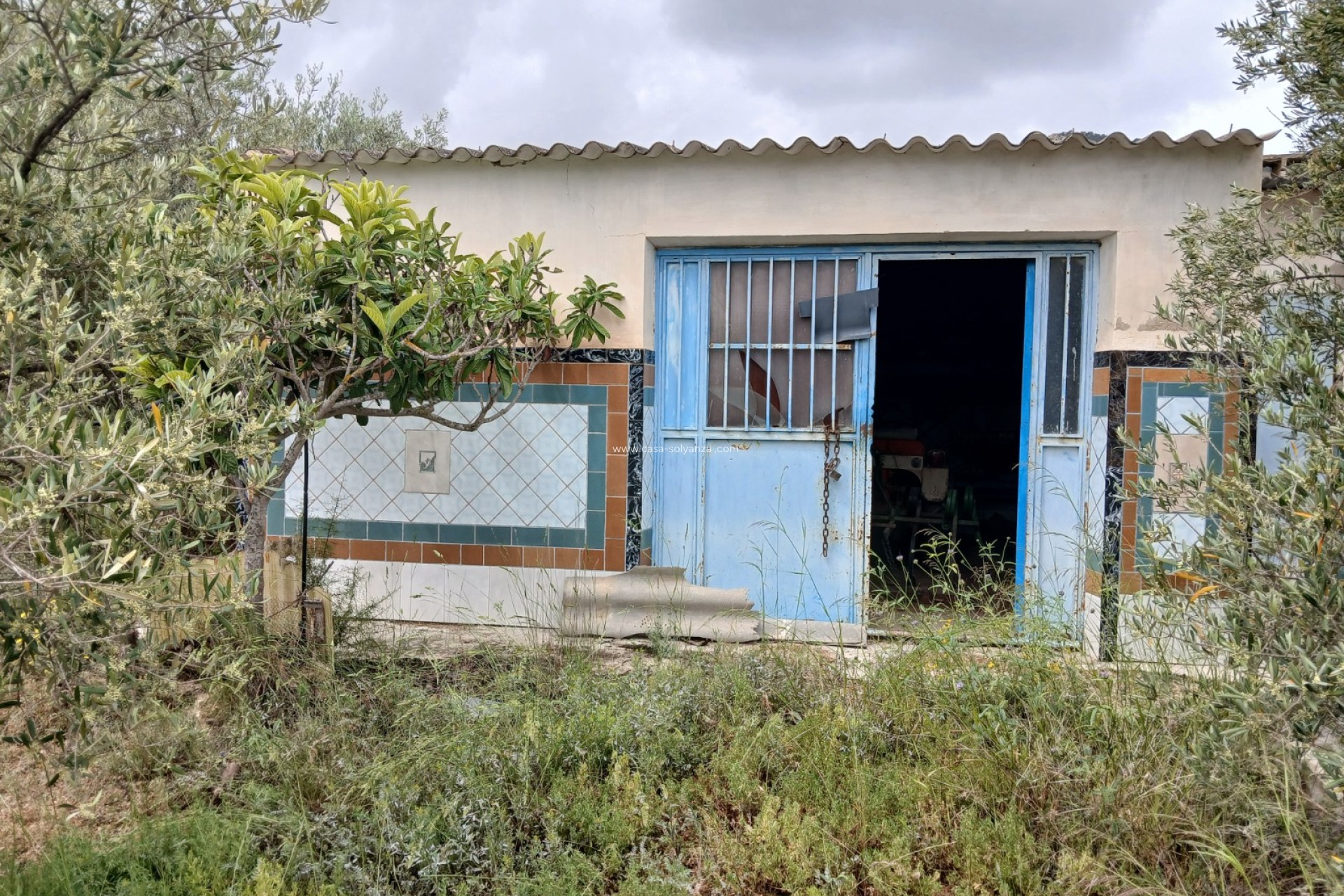 Reventa - Country Property/Finca - Yecla - Inland