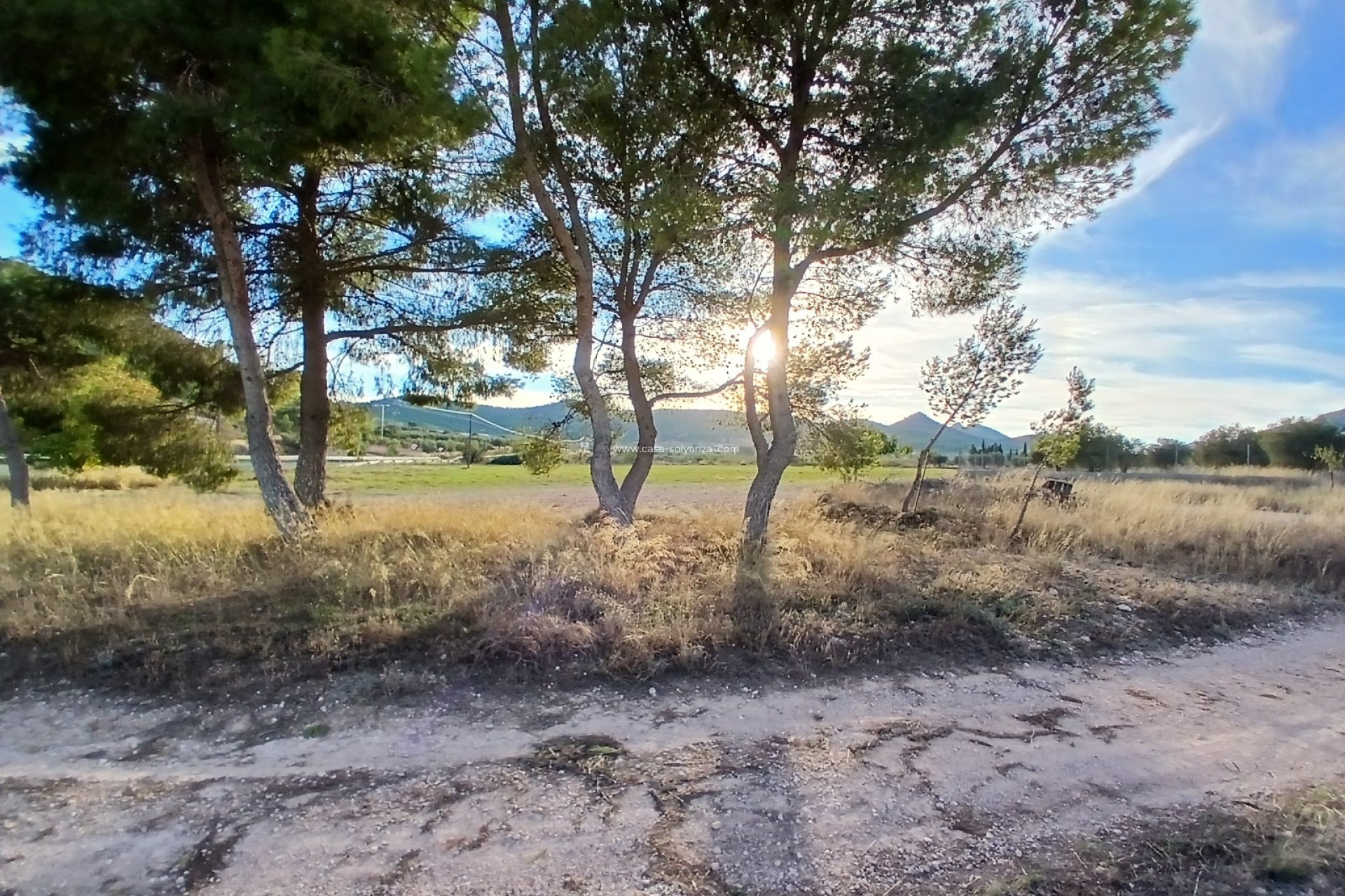 Reventa - Country Property/Finca - Yecla - Inland