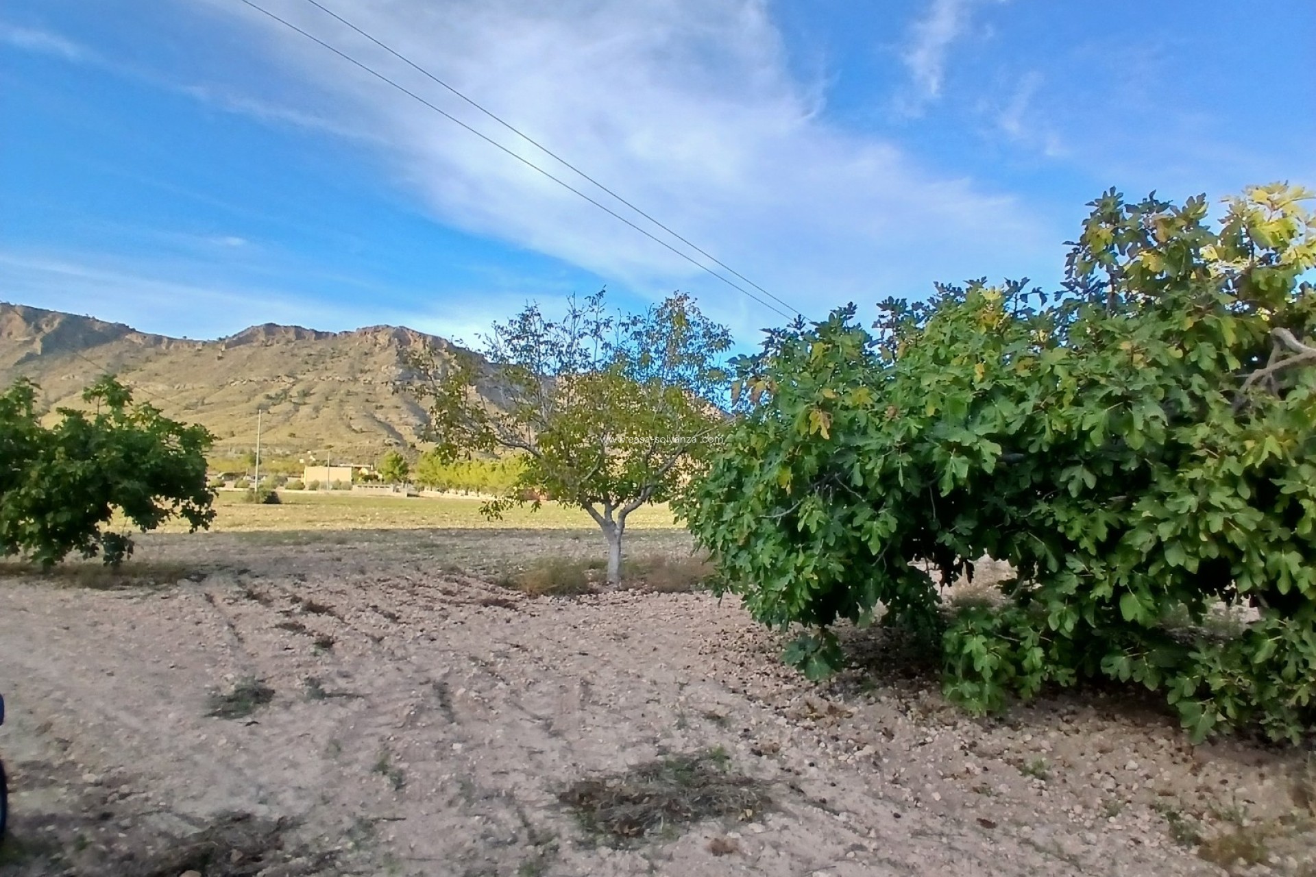 Reventa - Country Property/Finca - Yecla - Inland