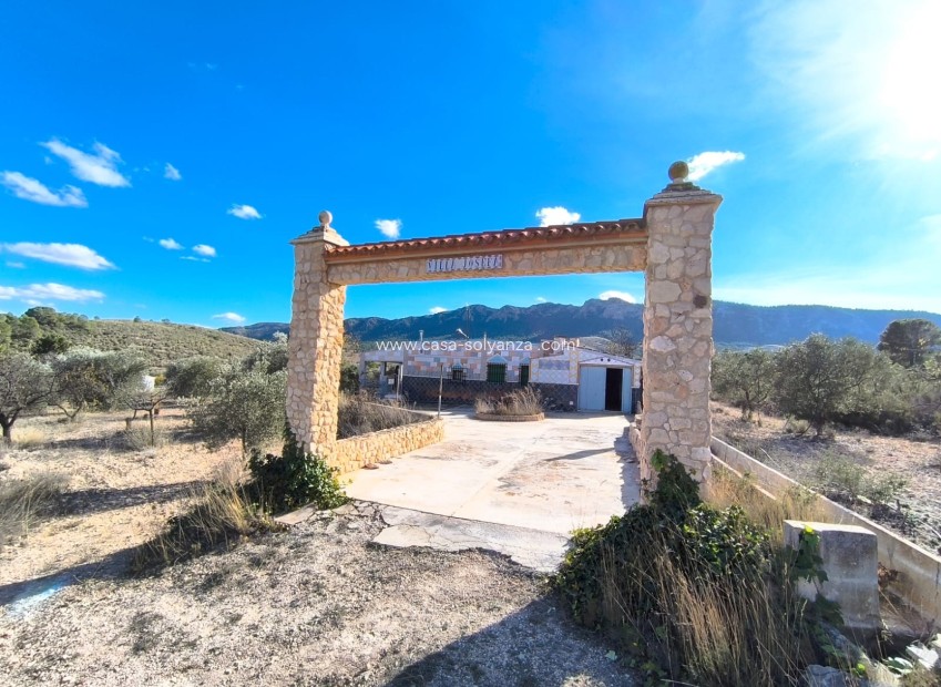 Reventa - Country Property/Finca - Yecla - Inland