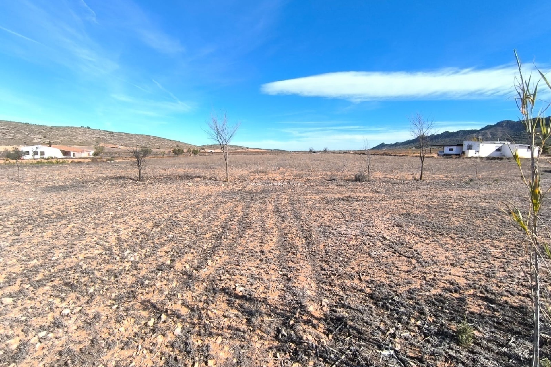 Reventa - Country Property/Finca - Yecla - Inland