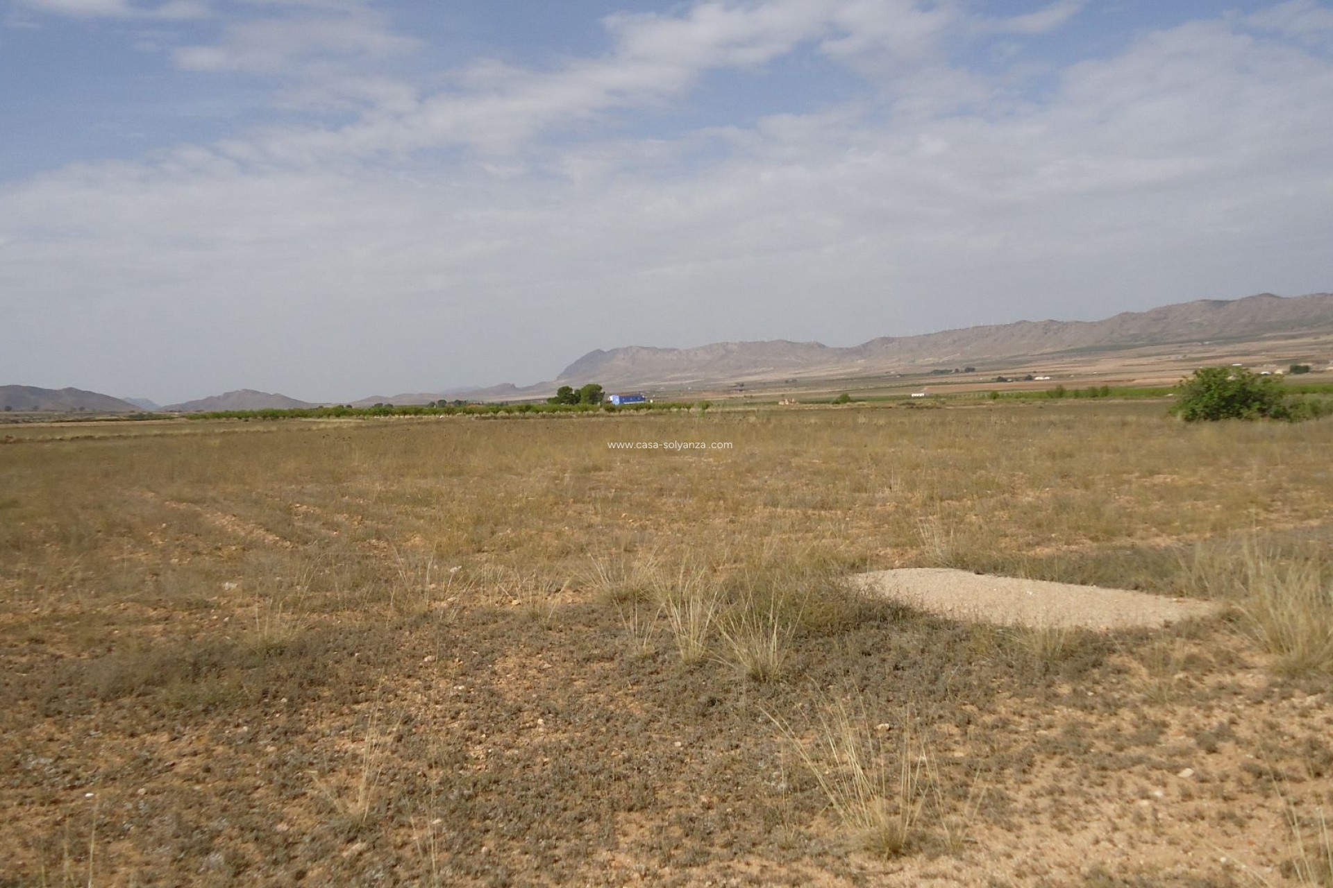 Reventa - Country Property/Finca - Yecla - Inland