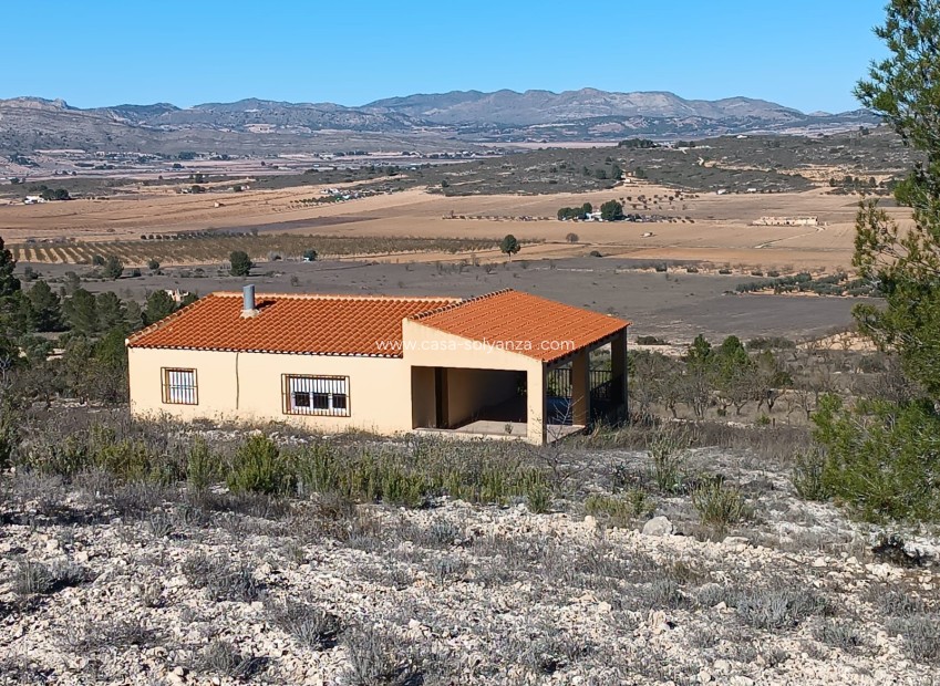 Reventa - Country Property/Finca - Yecla - Inland