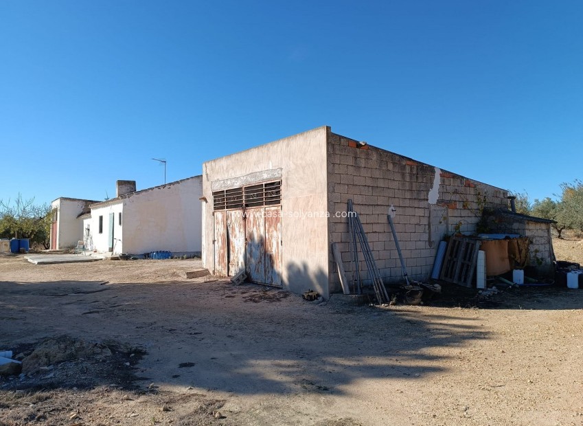 Reventa - Country Property/Finca - Yecla - Inland