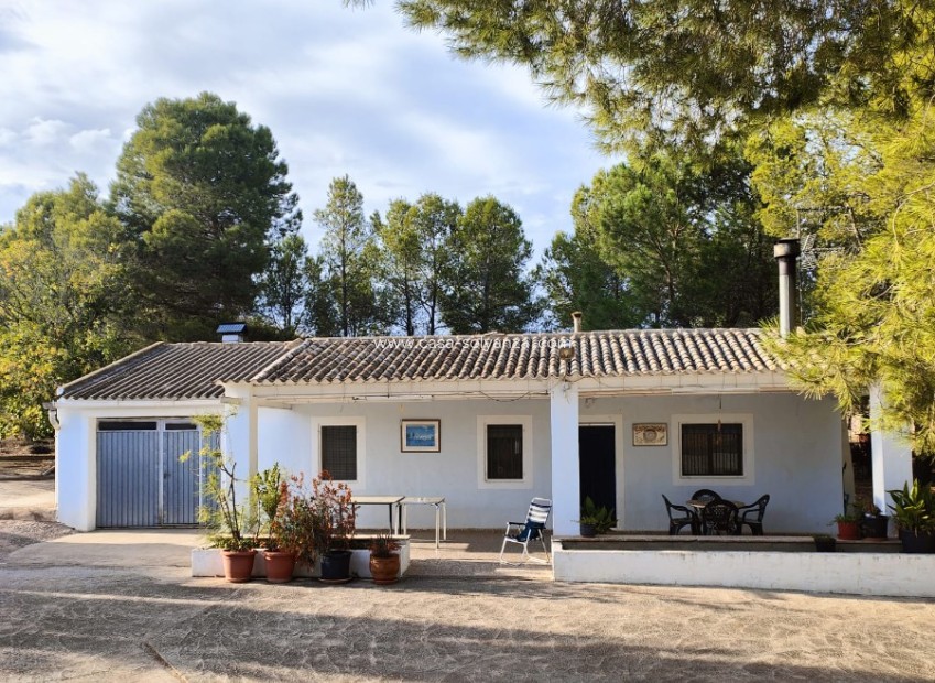 Reventa - Country Property/Finca - Yecla - Inland