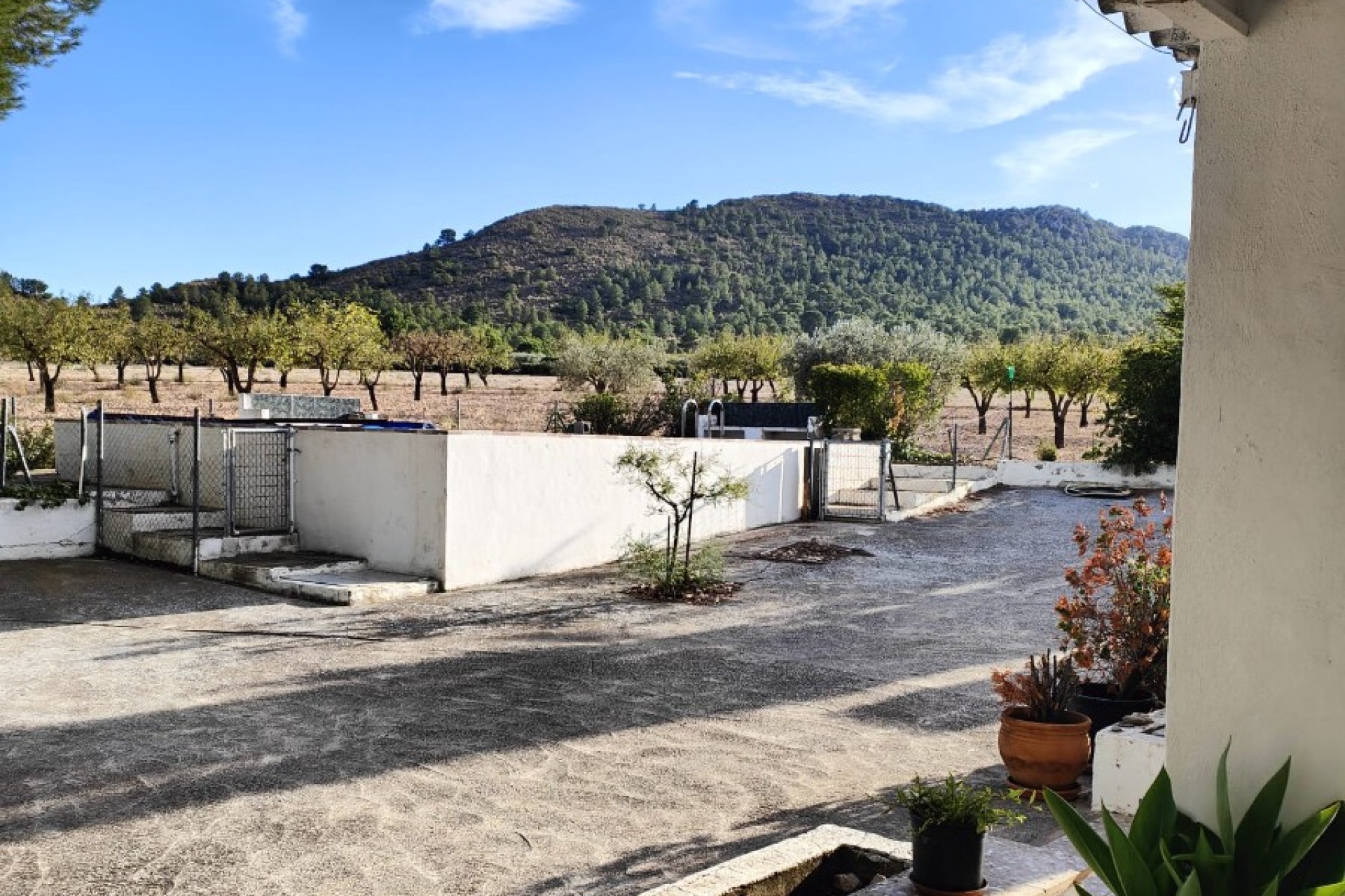 Reventa - Country Property/Finca - Yecla - Inland