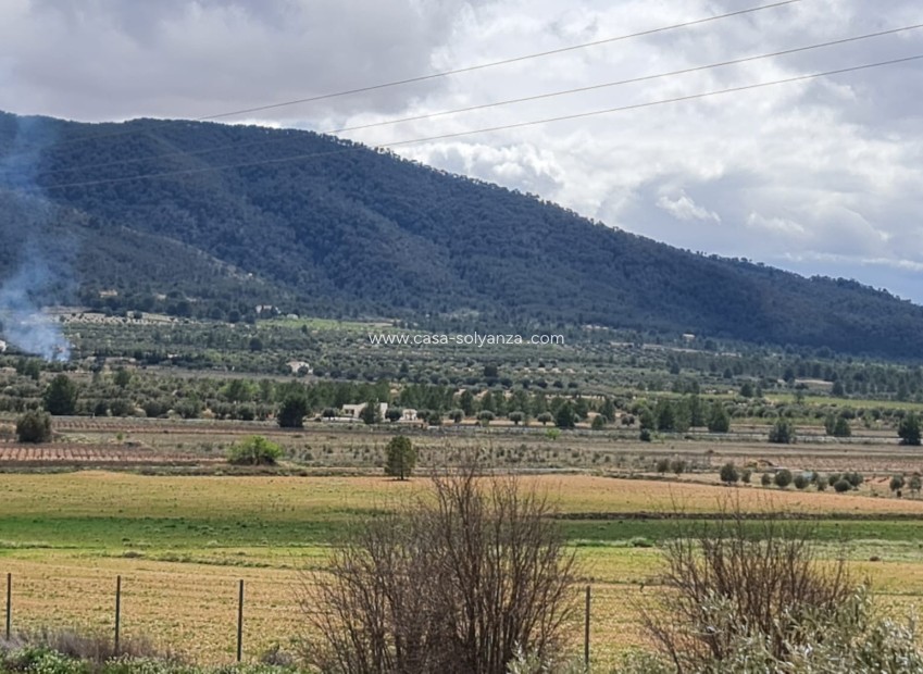 Reventa - Country Property/Finca - Yecla - Inland