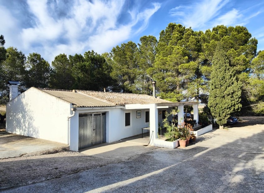 Reventa - Country Property/Finca - Yecla - Inland