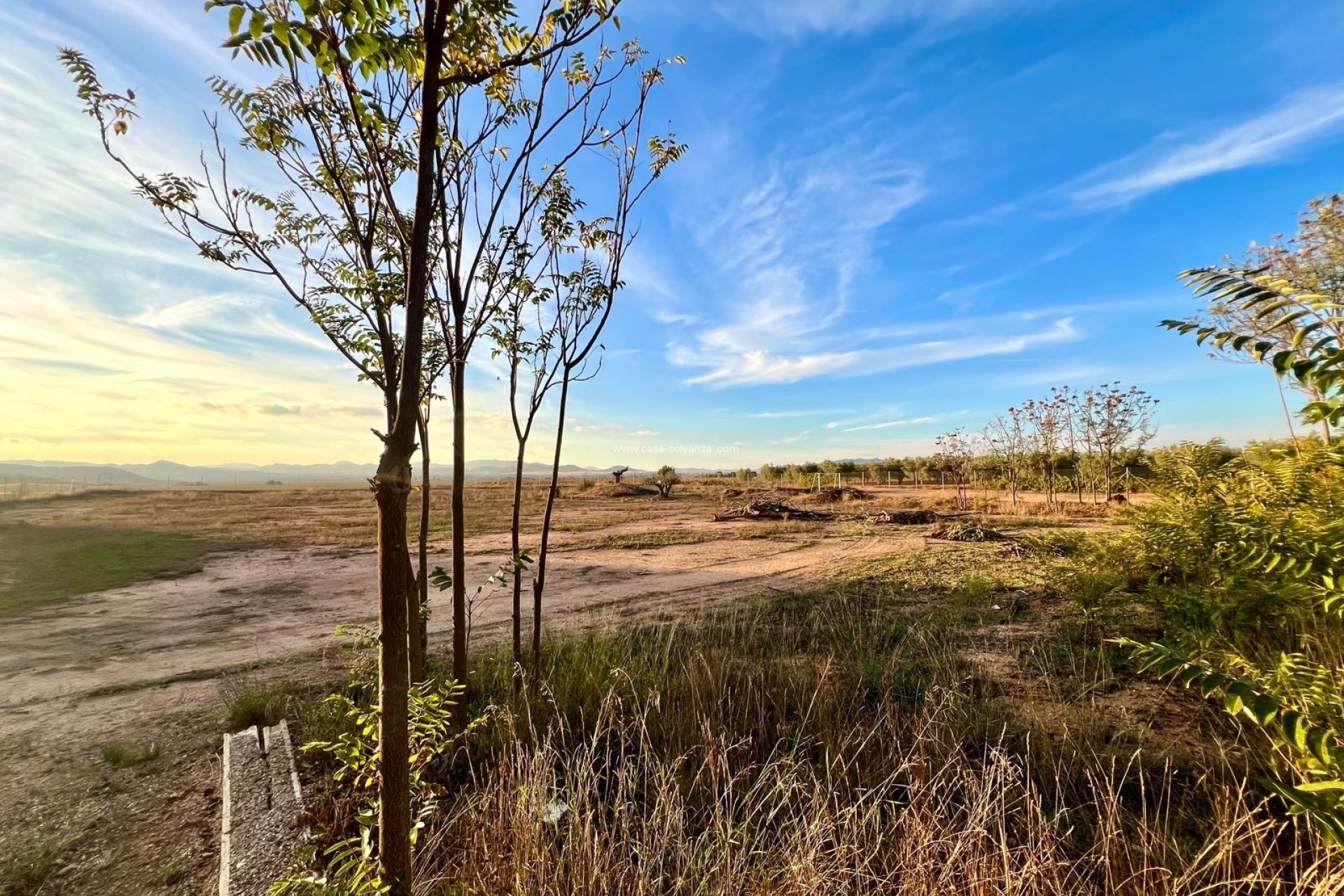 Reventa - Country Property/Finca - Yecla - Inland