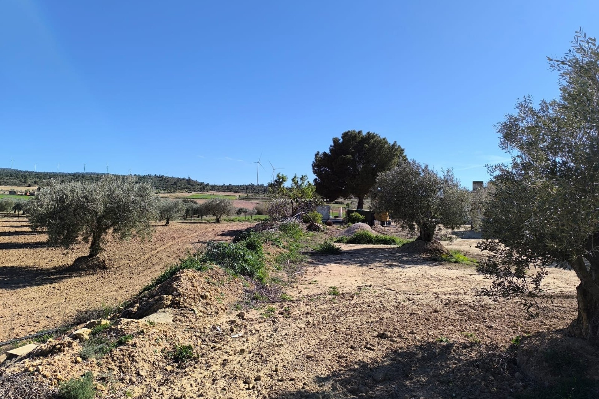 Reventa - Country Property/Finca - Yecla - Inland