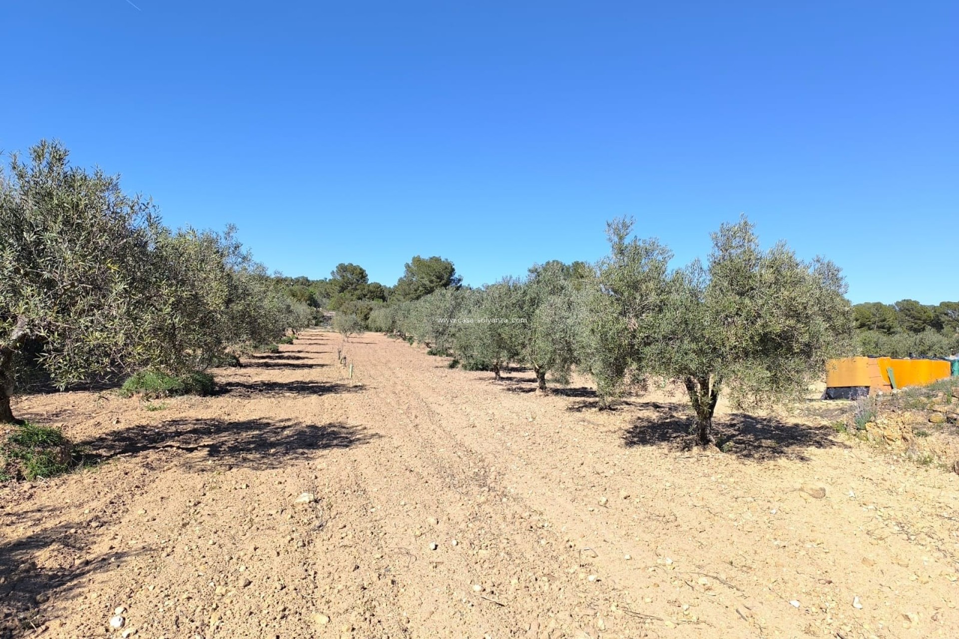 Reventa - Country Property/Finca - Yecla - Inland