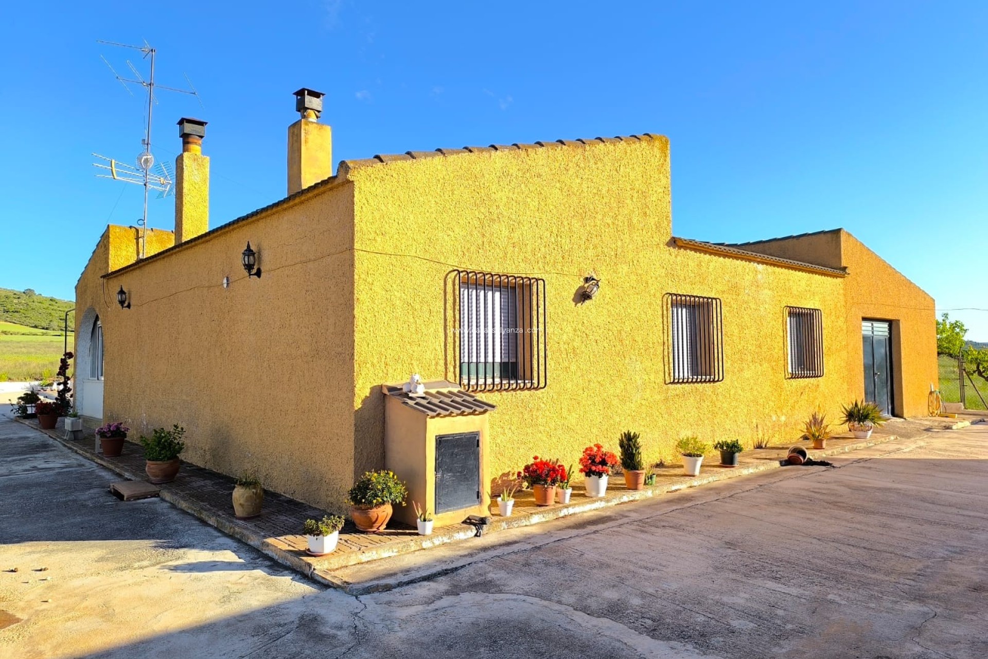 Reventa - Country Property/Finca - Yecla - Inland