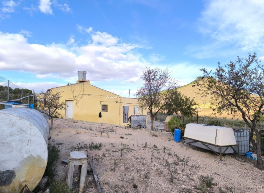 Reventa - Country Property/Finca - Yecla - Yecla Centro