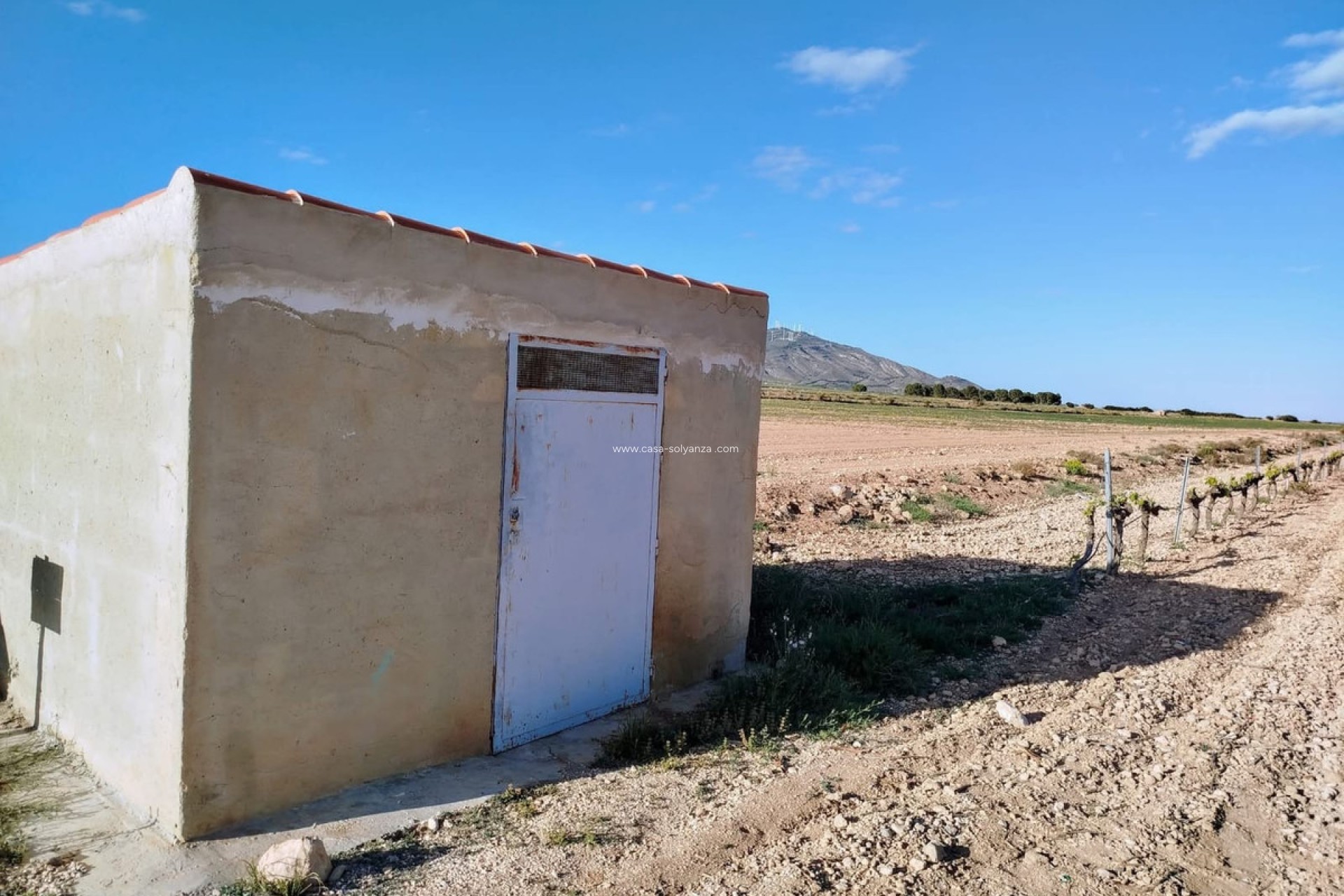 Reventa - Country Property/Finca - Yecla - Yecla Centro