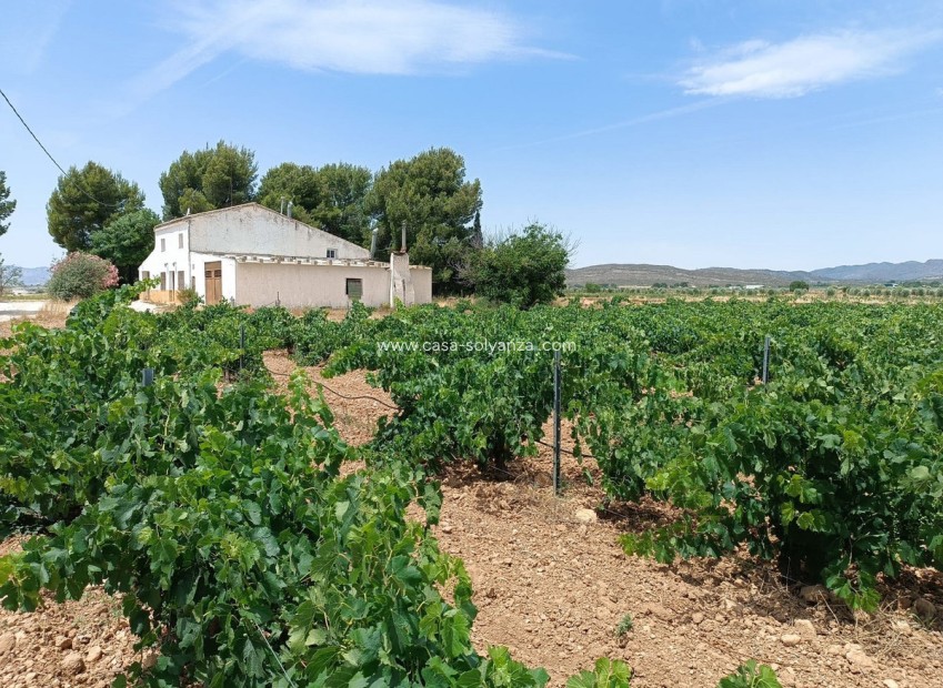 Reventa - Country Property/Finca - Yecla - Yecla Centro