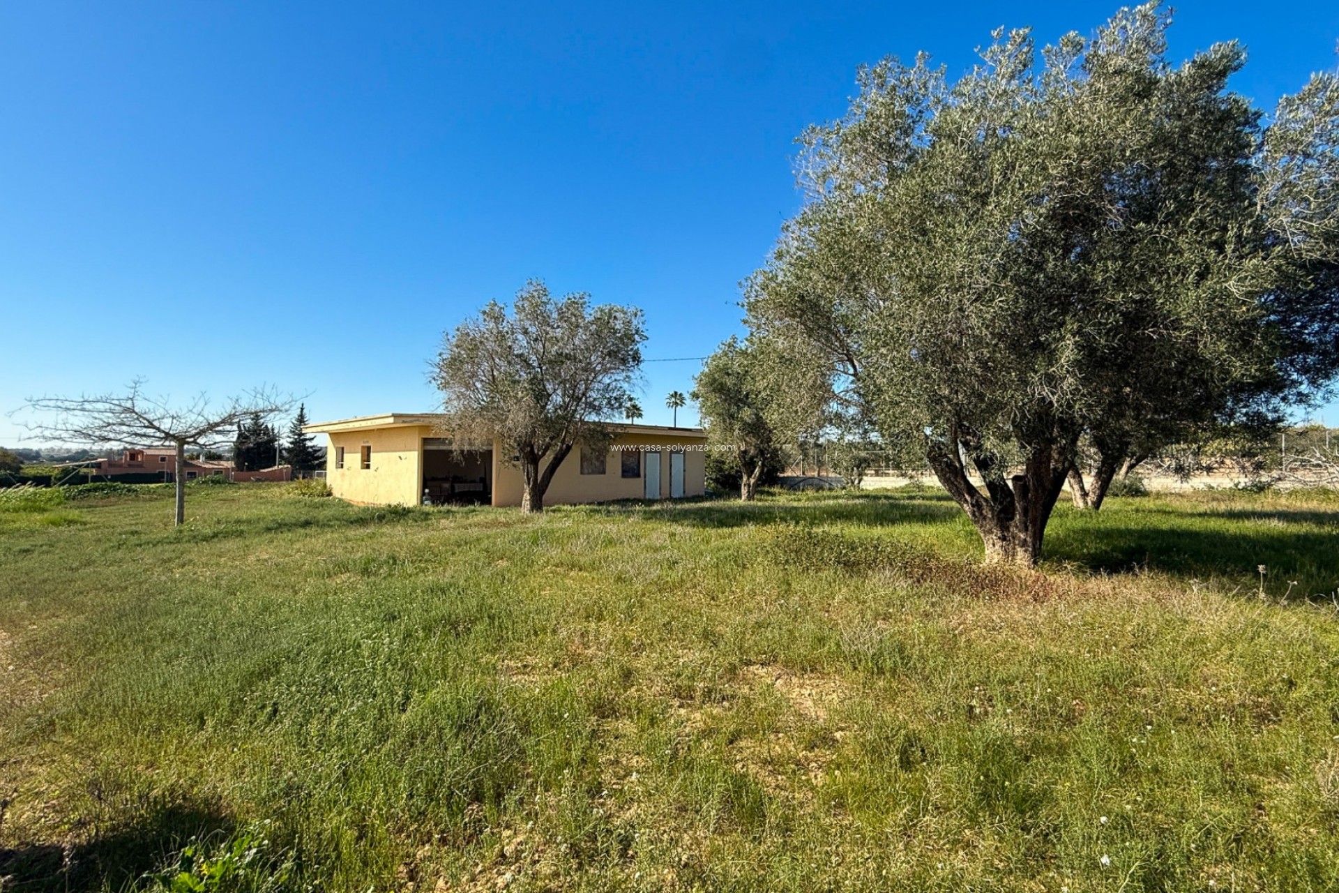 Reventa - Finca Country Property - Guardamar del Segura - Guardamar