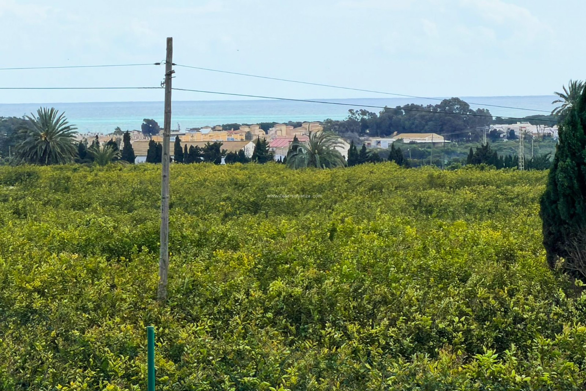 Reventa - Finca Country Property - Guardamar del Segura - Guardamar