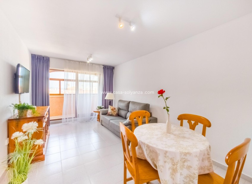 Reventa - Flat - Torrevieja - Centro