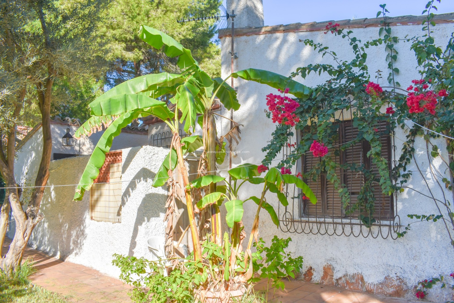 Reventa - Independent villa - Orihuela Costa - Punta Prima