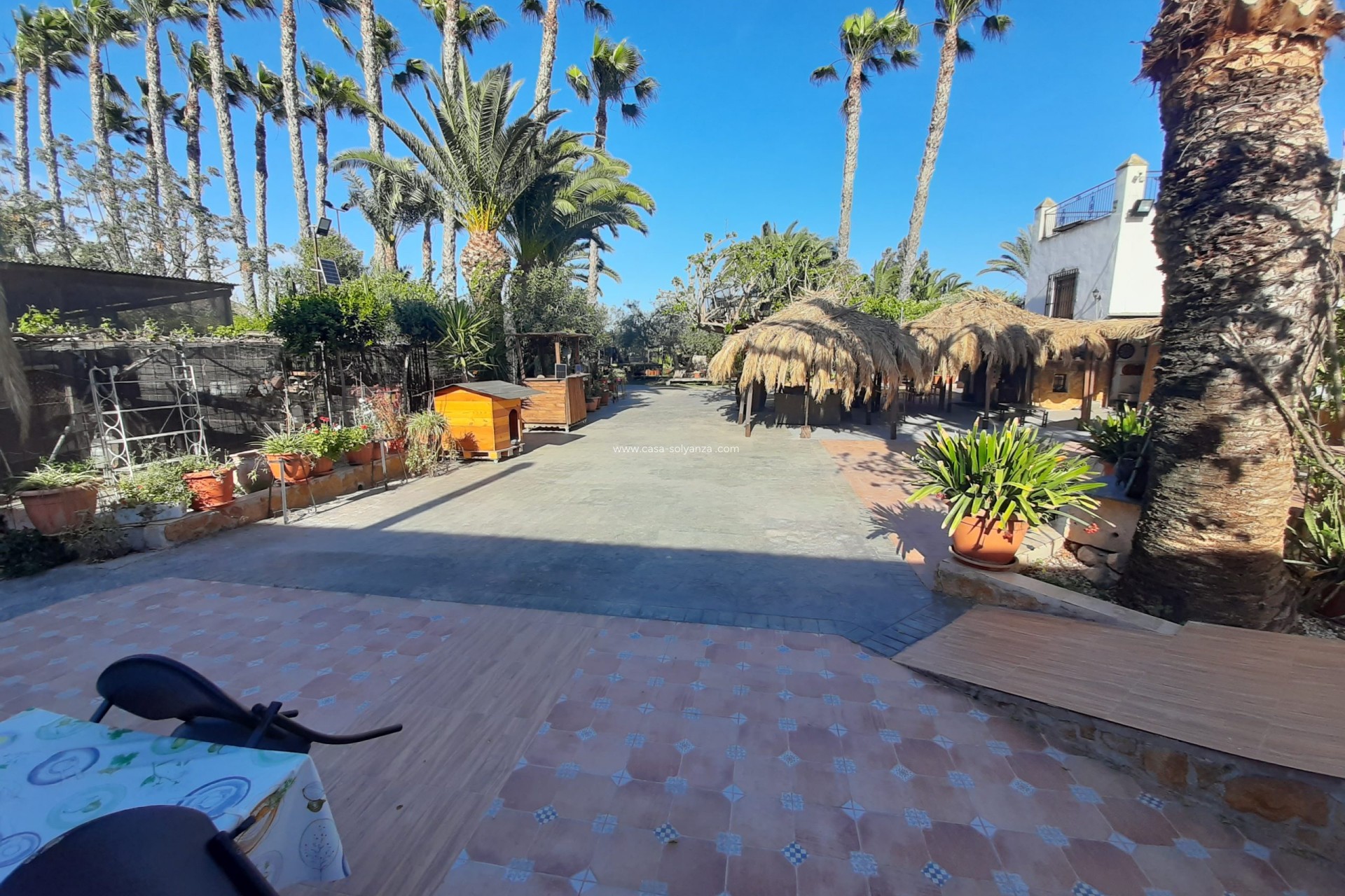 Reventa - Investment project - Orihuela