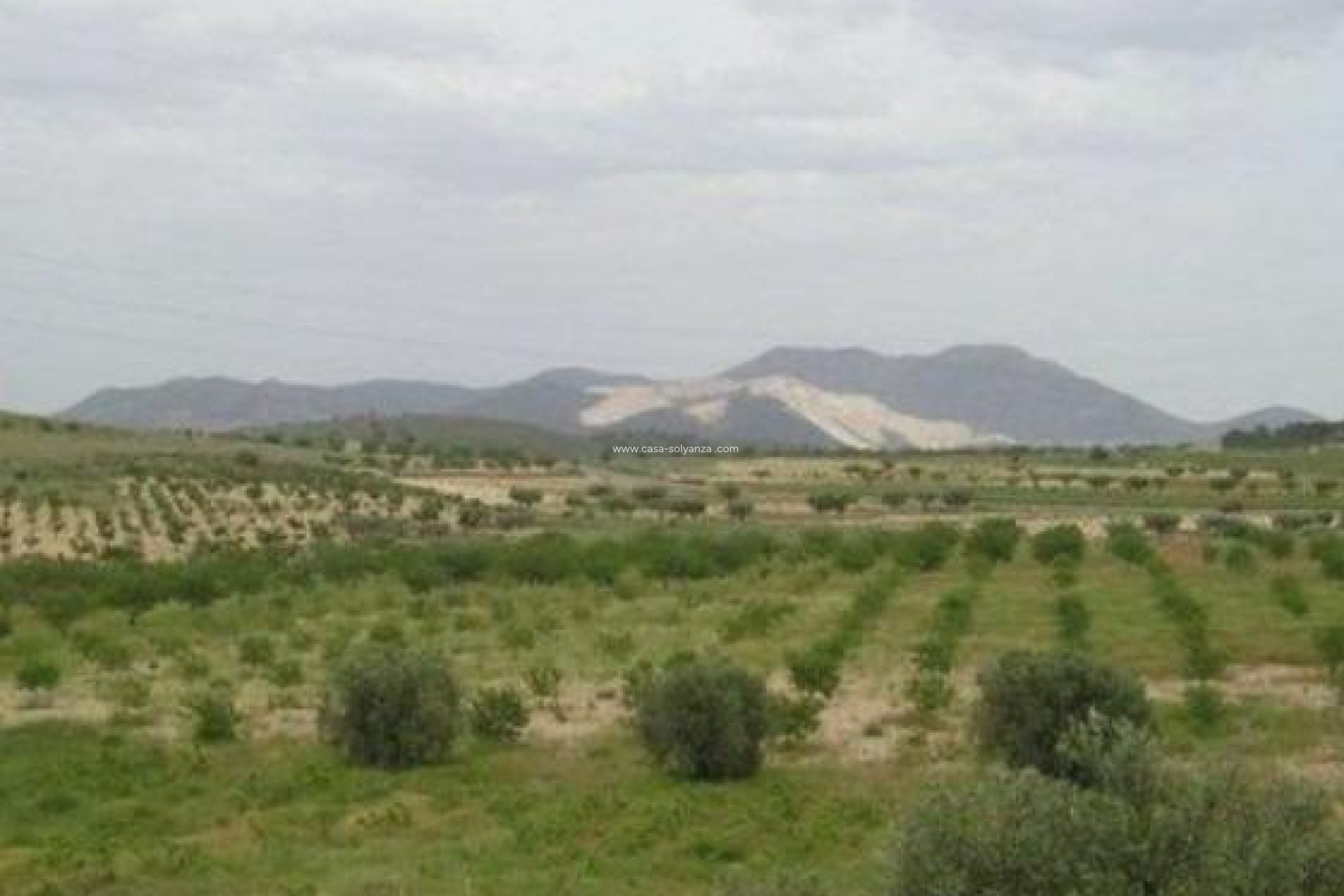 Reventa - Land - Abanilla - Cañada Del Trigo