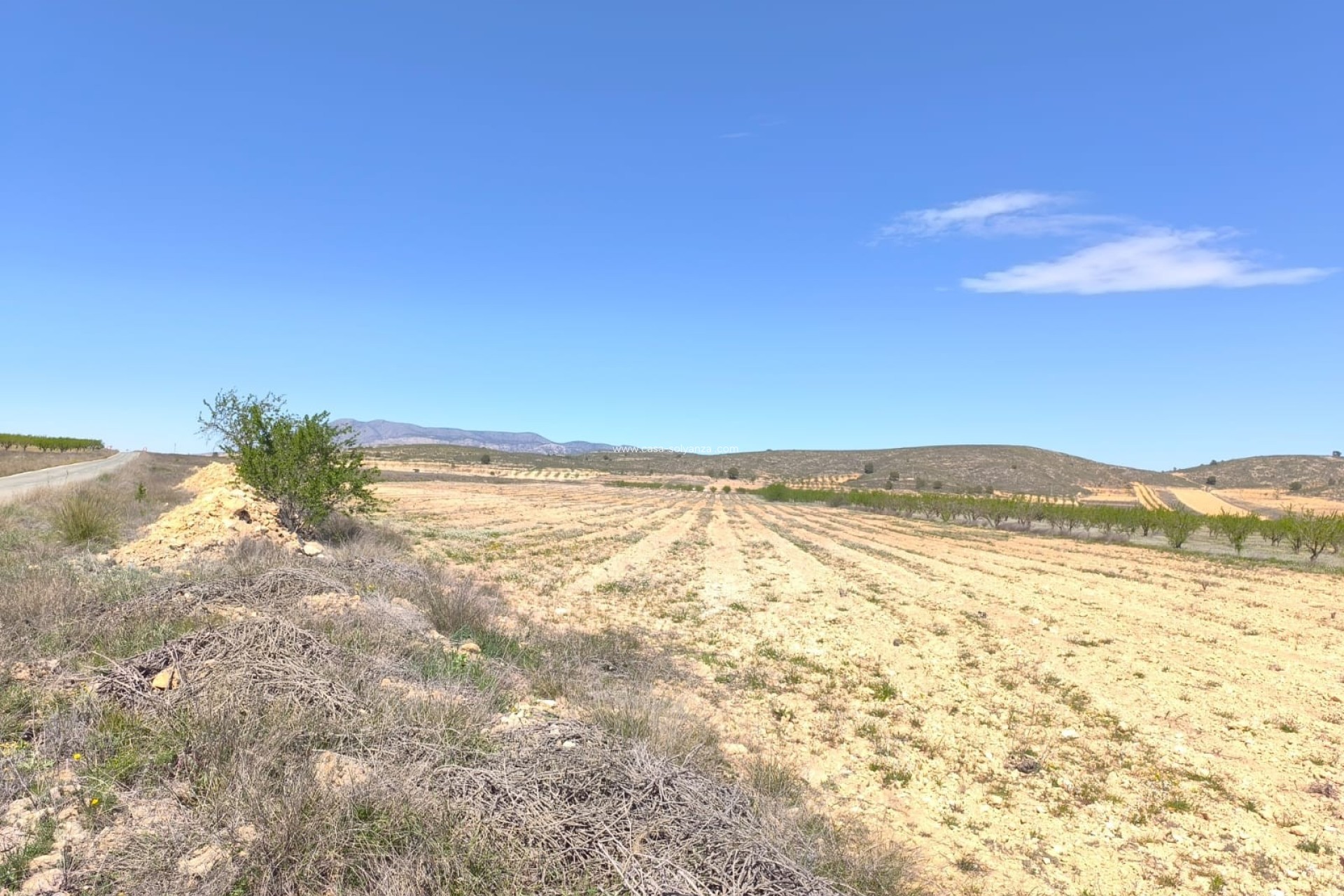 Reventa - Land - Abanilla - Inland