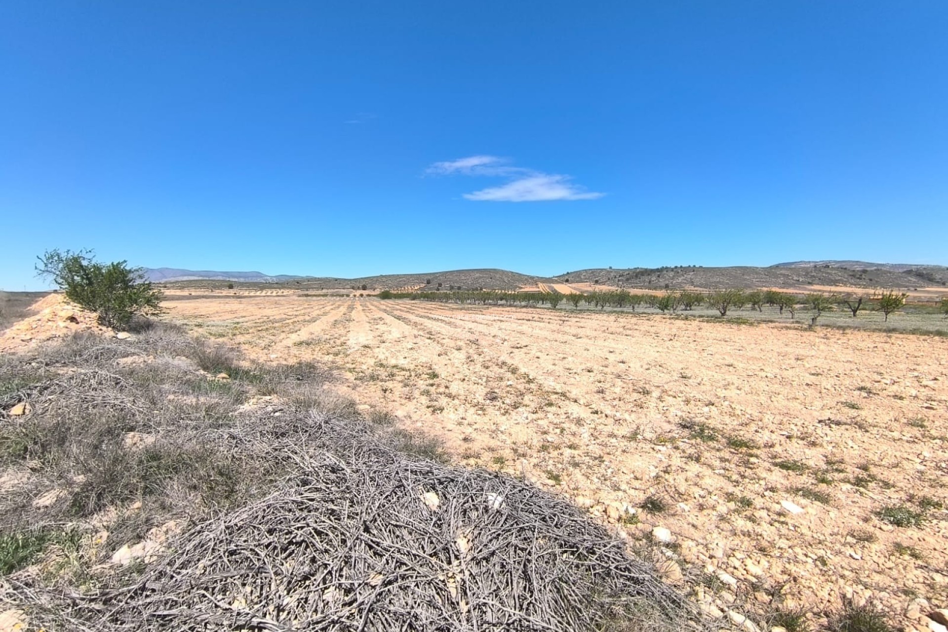 Reventa - Land - Abanilla - Inland