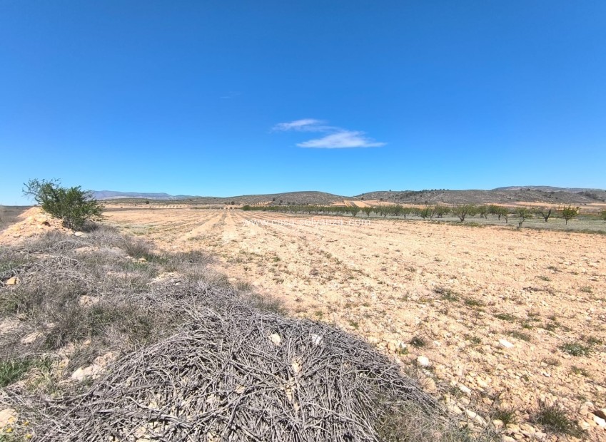 Reventa - Land - Abanilla - Inland