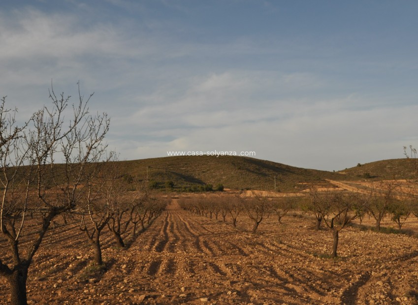 Reventa - Land - Abanilla - Inland