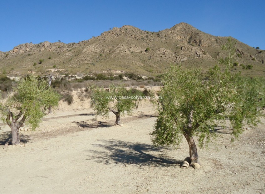 Reventa - Land - Abanilla - Inland