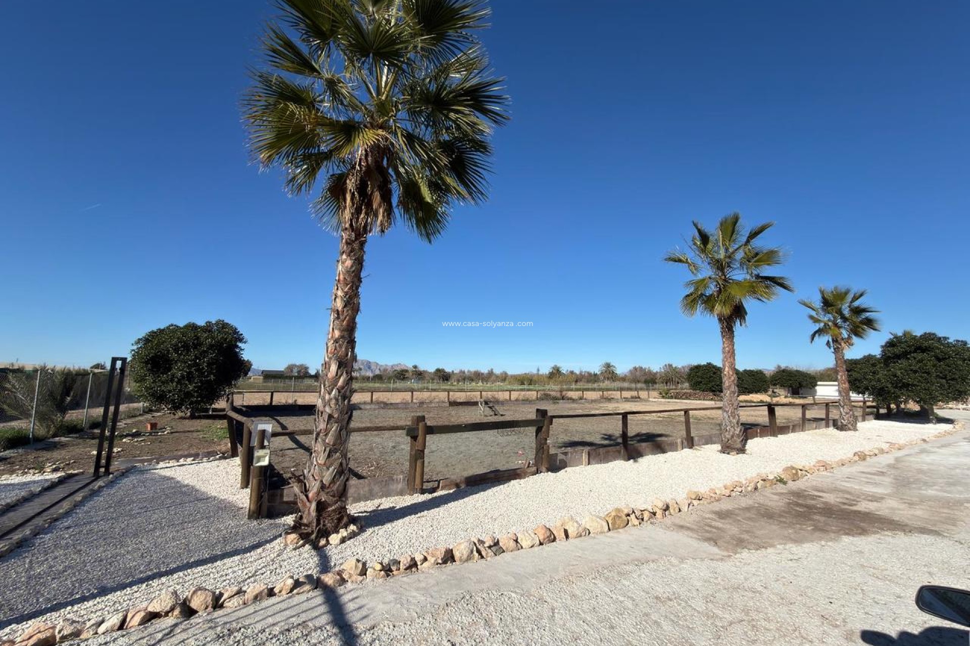 Reventa - Land - Algorfa - Inland